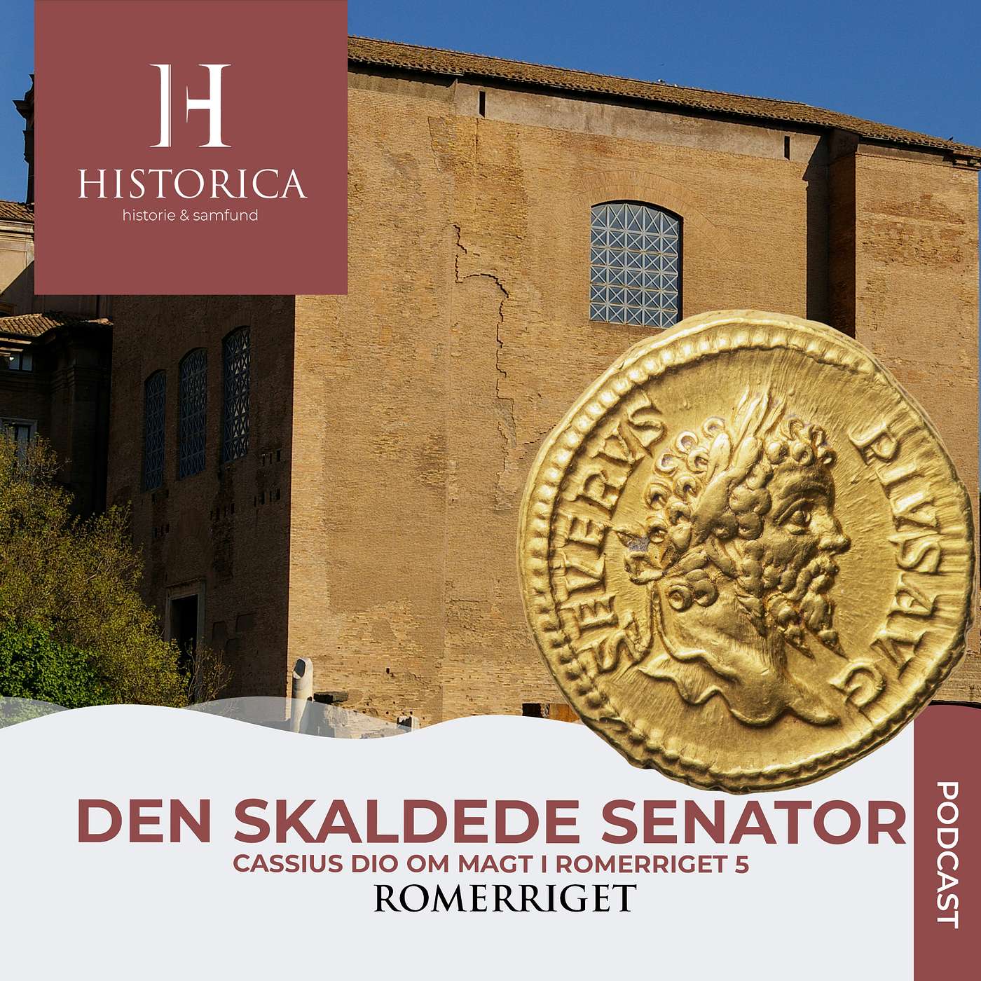 Den skaldede senator