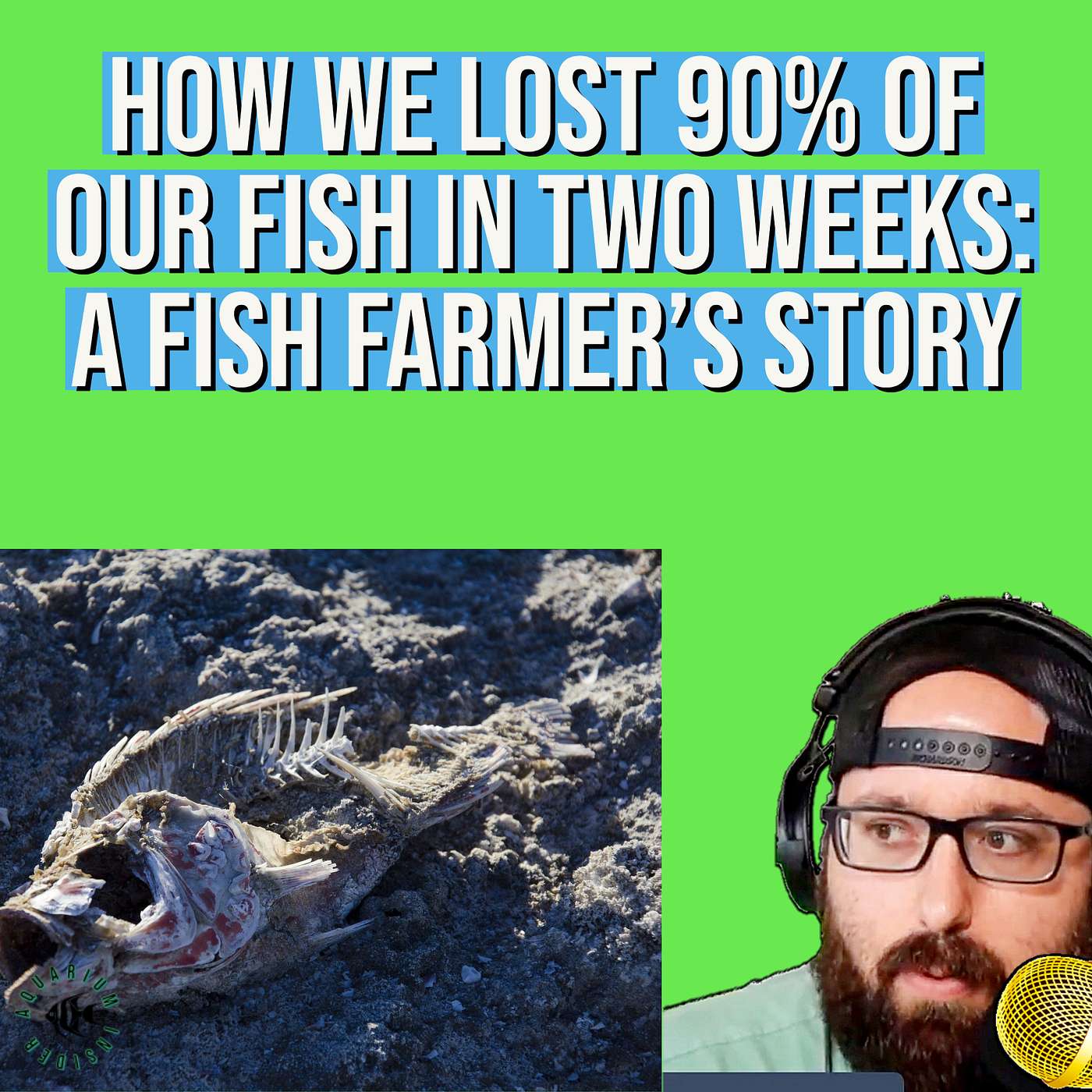 Our Horror Story of How We Lost 90% of Our Farm in Two Weeks Our Horror Story of How We Lost 90% of Our Farm in Two Weeks