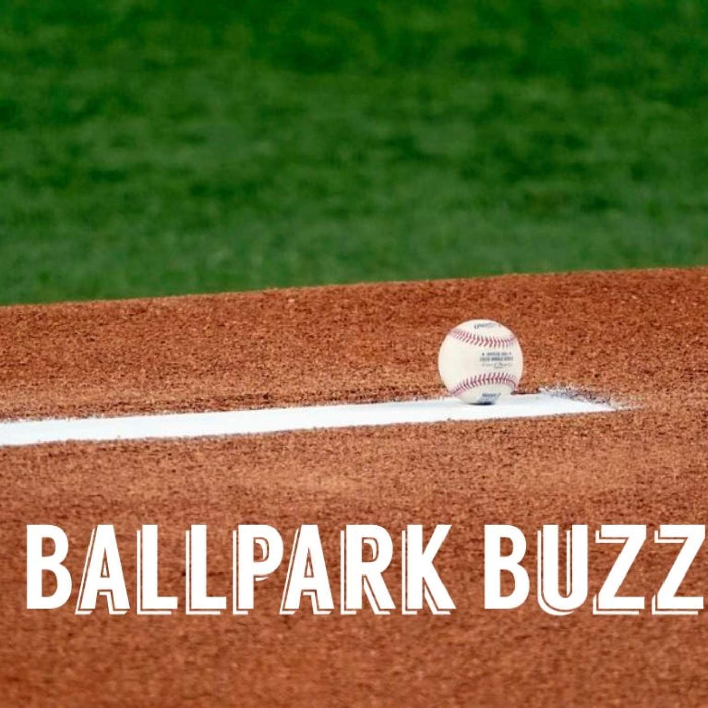 The Ballpark Buzz