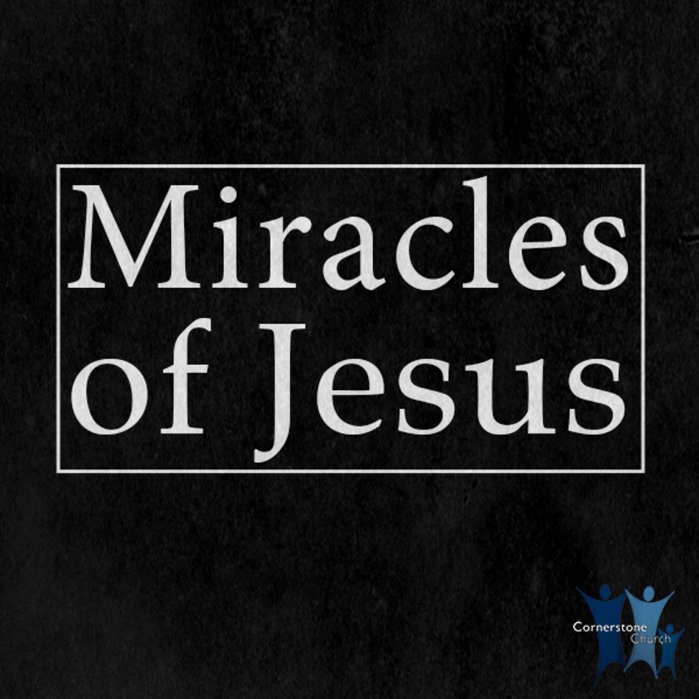 Miracles of Jesus - Part 2 episode artwork
