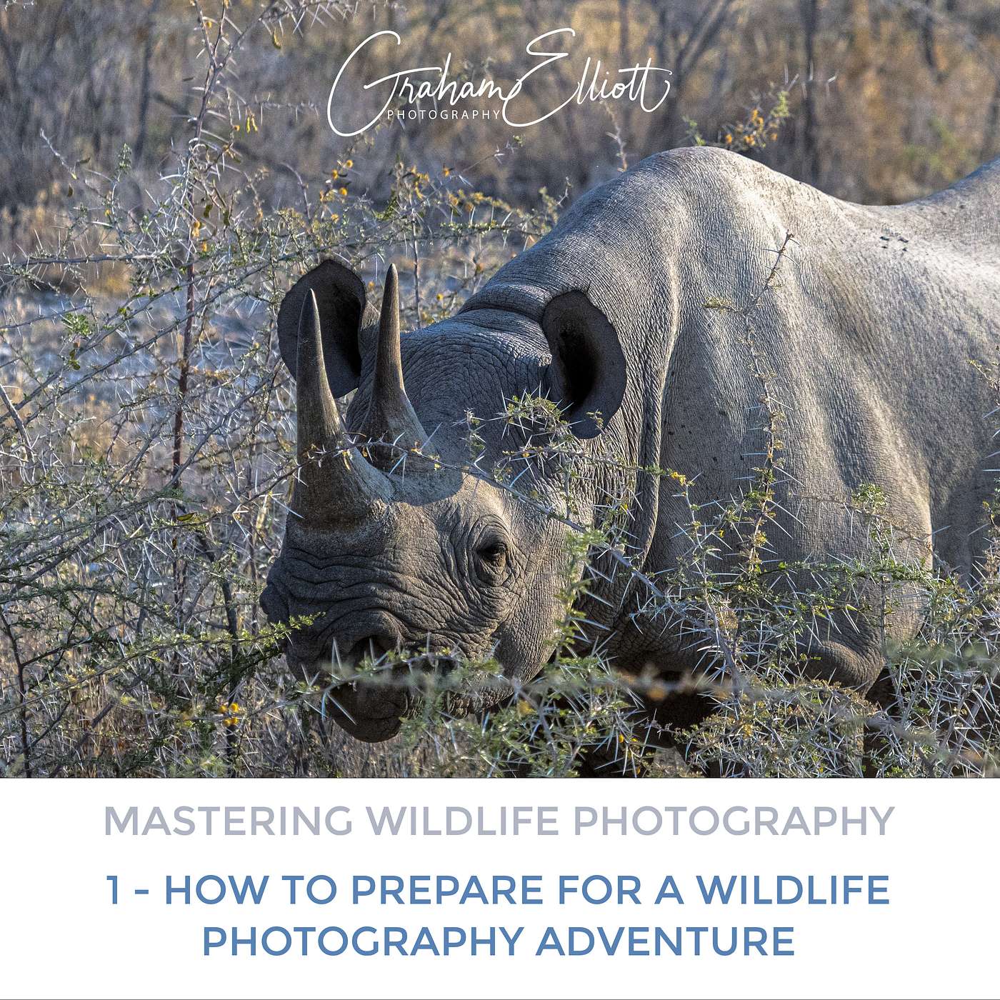 Mastering Wildlife Photography Part 1: How to prepare for a wildlife photography adventure Mastering Wildlife Photography Part 1: How to prepare for a wildlife photography adventure