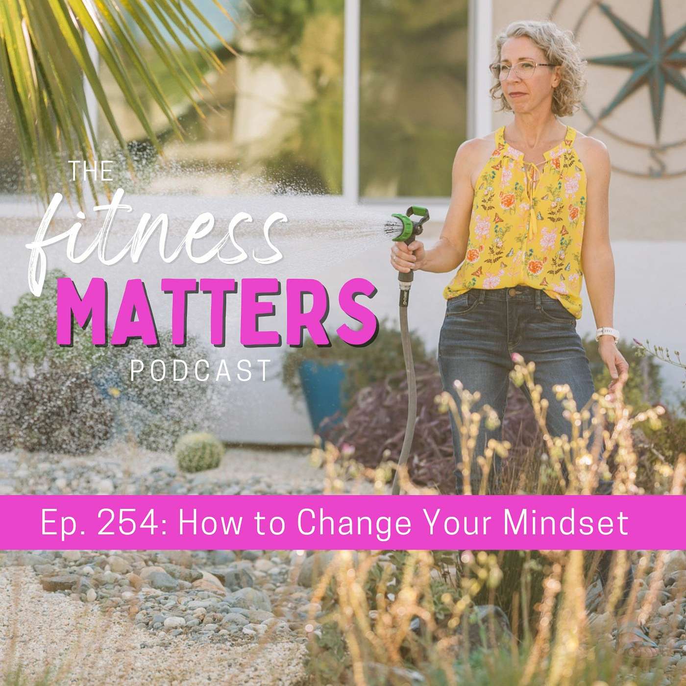 How to Change Your Mindset episode artwork