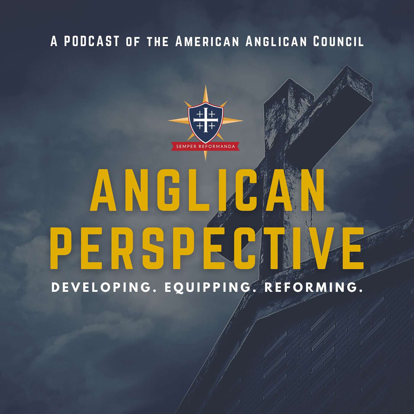 Anglican Perspective