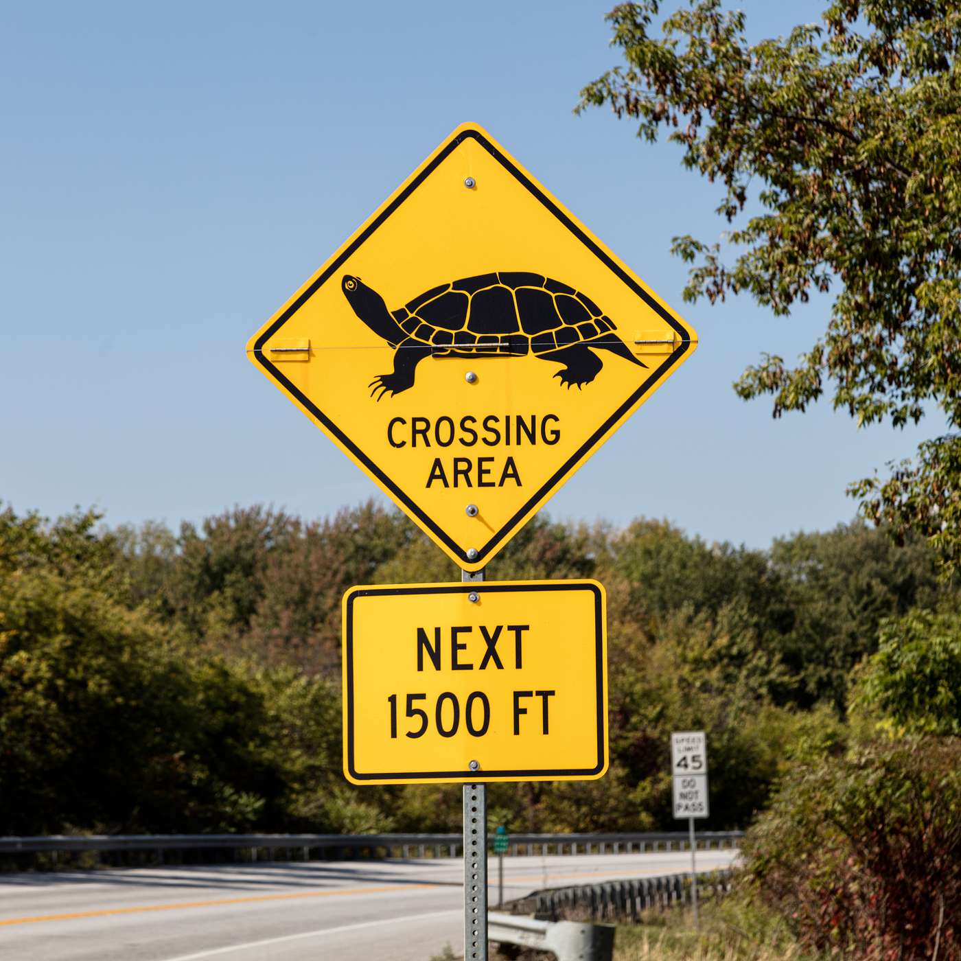 Federal help for studying and reducing wildlife crashes