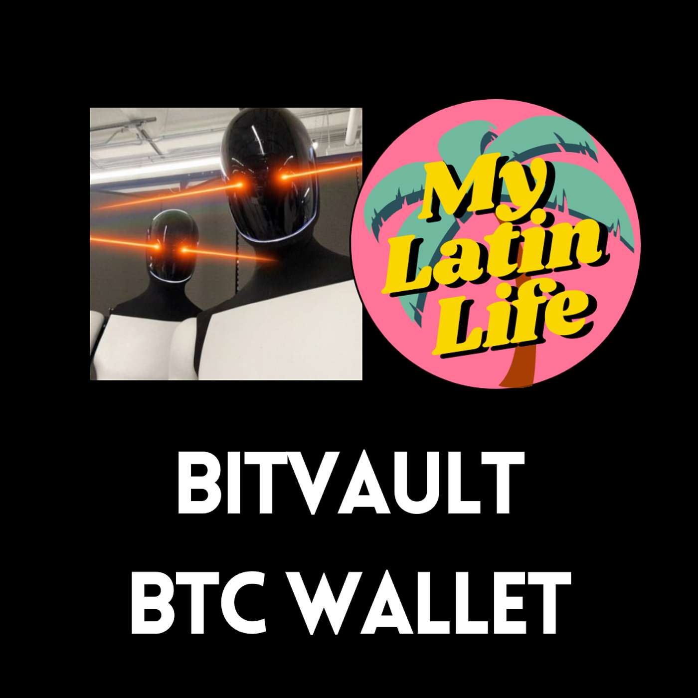 Self-Custody Your Bitcoin with BitVault | My Latin Life Podcast 297 🌴