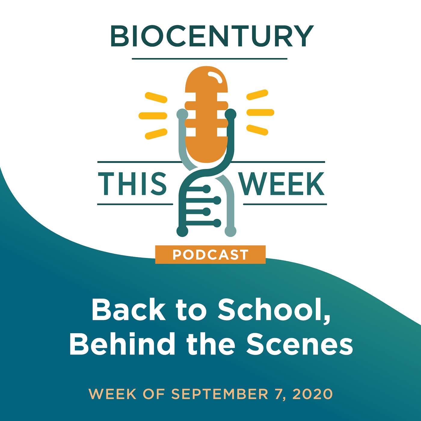 Ep. 22 - Back to School, Behind the Scenes