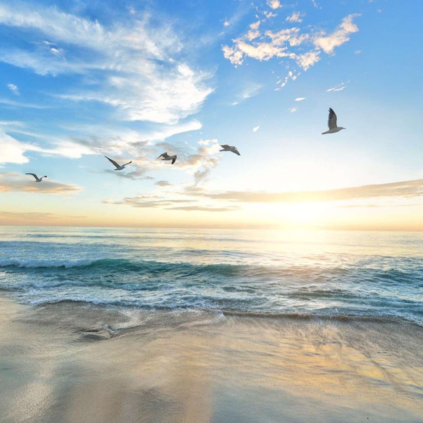 Heaven on Earth Mini Meditations
