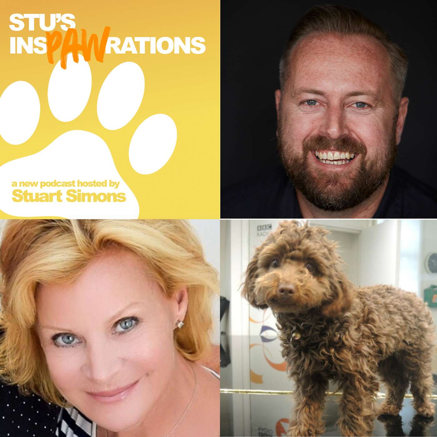 Stu\'s Inspawrations