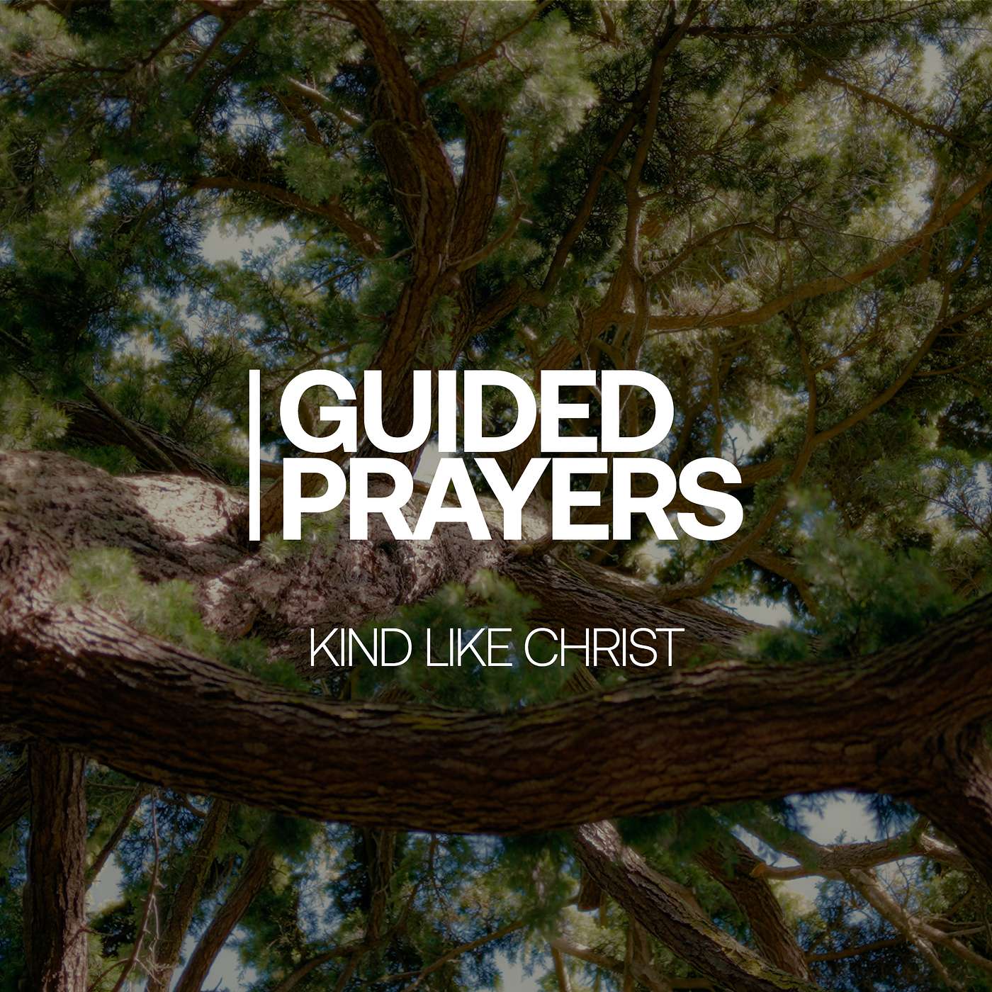 Expressing Your Love With Strength | Guided Prayers episode artwork