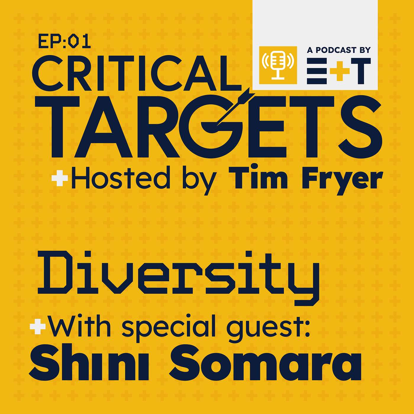 Diversity: Can the make-up of the engineering sector broadly reflect that of society?