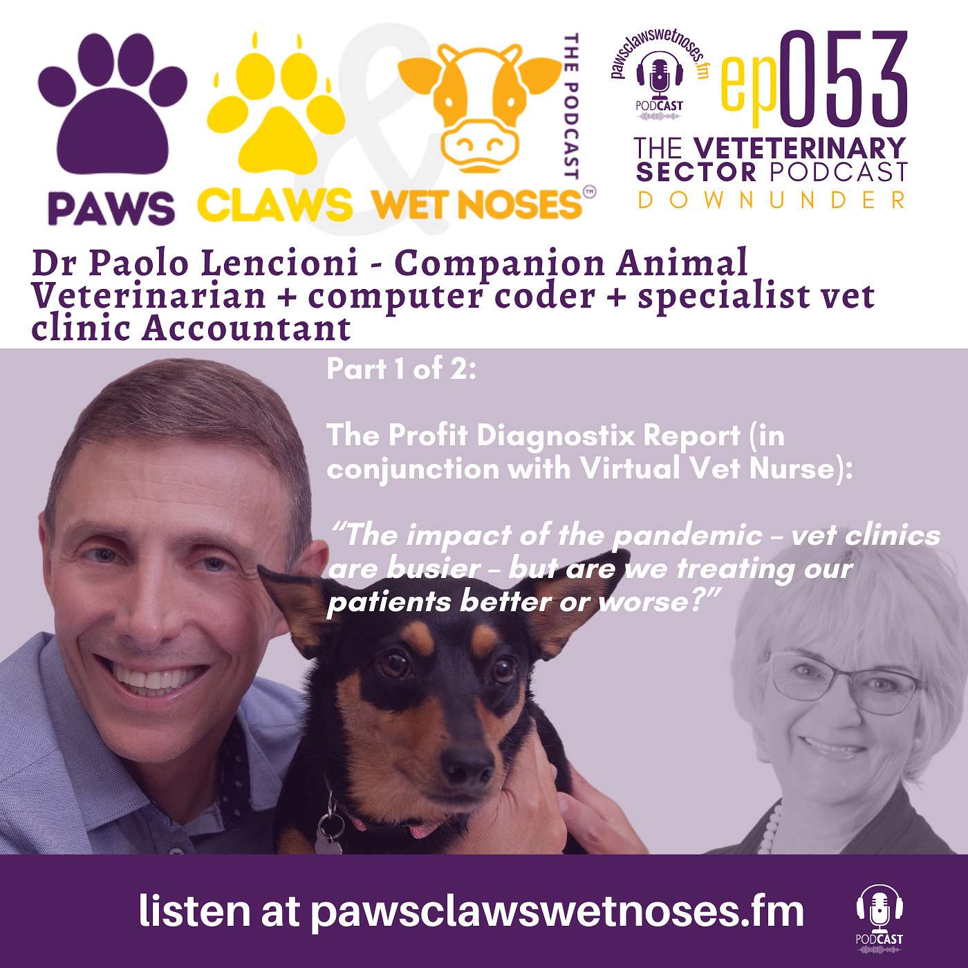Vet Clinics and the pandemic - are patients being treated better or worse...? ep 053