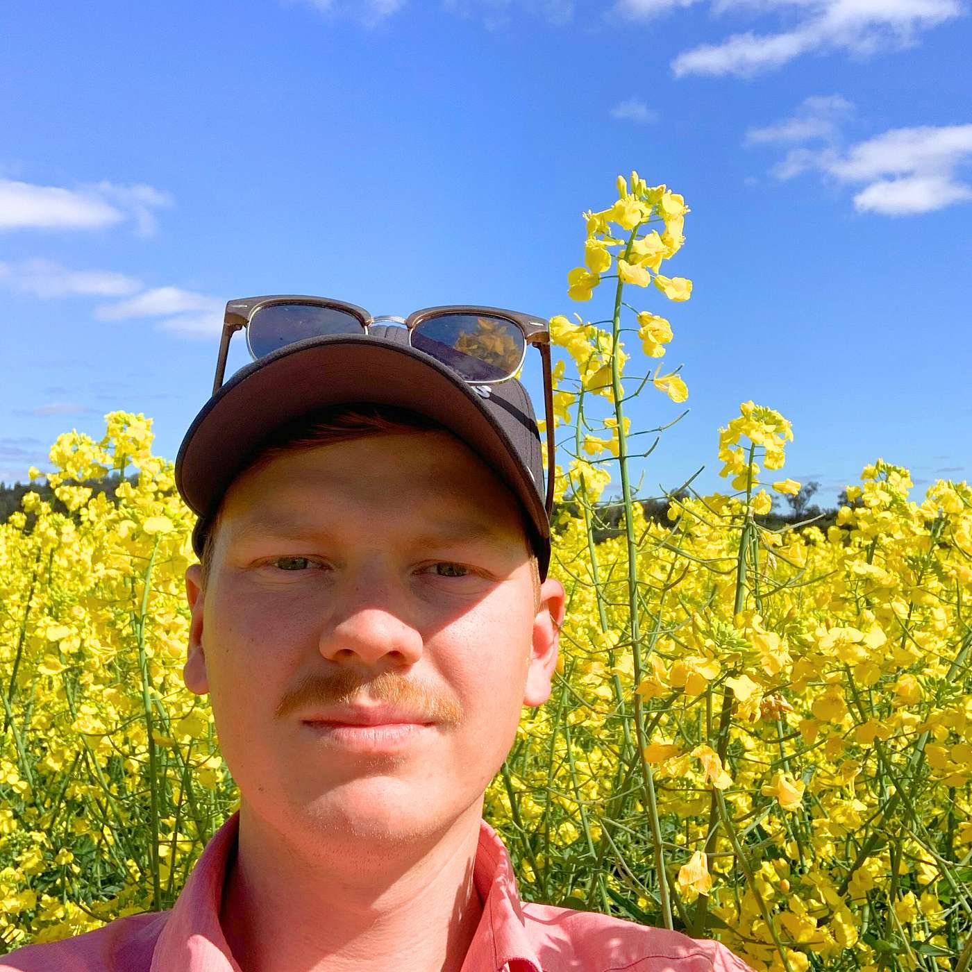 Regional Update – James Kearines, Agronomist & Grower, Lake Cargelligo, NSW