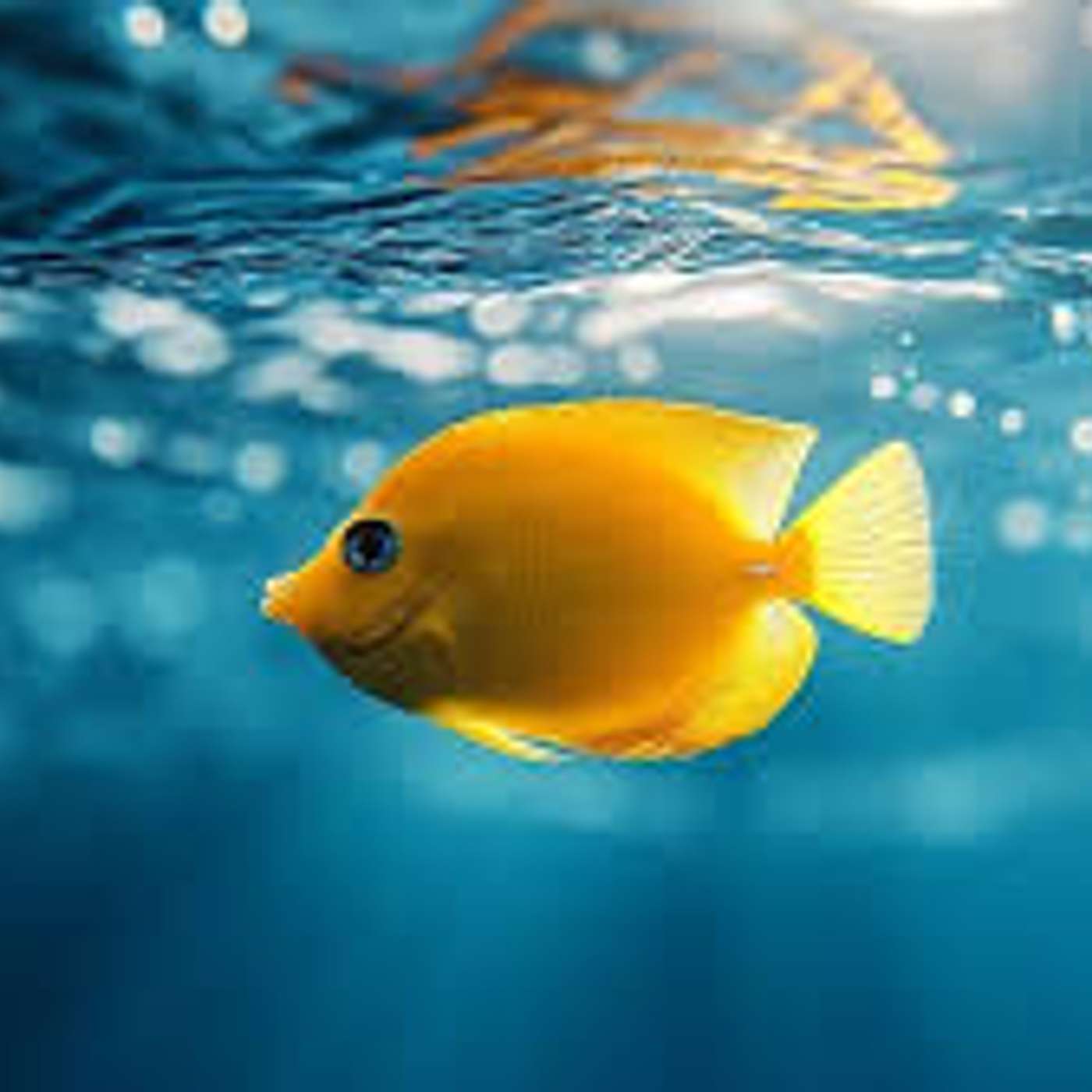 Homily for the Sixth Sunday of Ordinary Time - Swimming in Love and Not knowing It