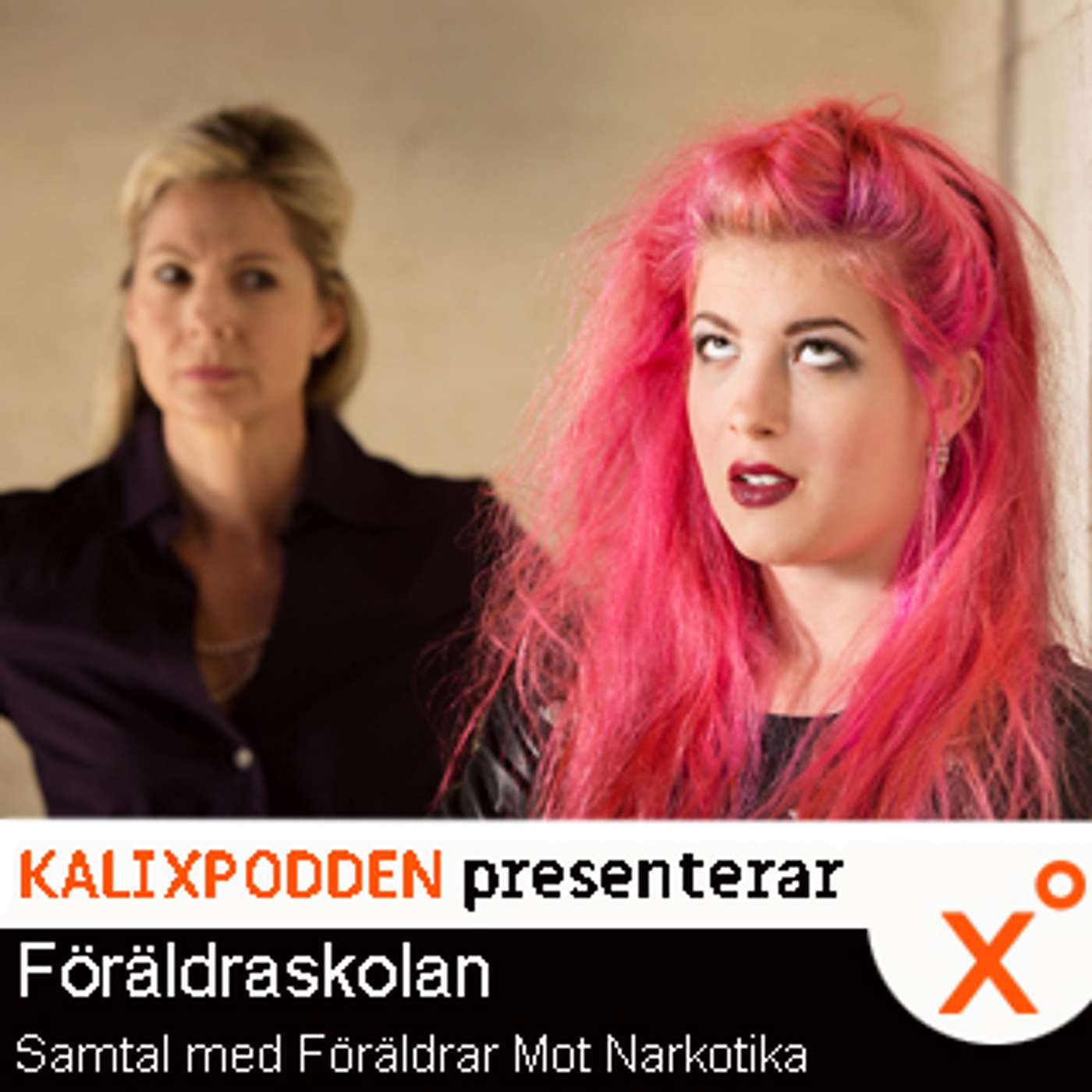 Föräldraskolan | Samtal med Föräldraföreningen mot narkotika