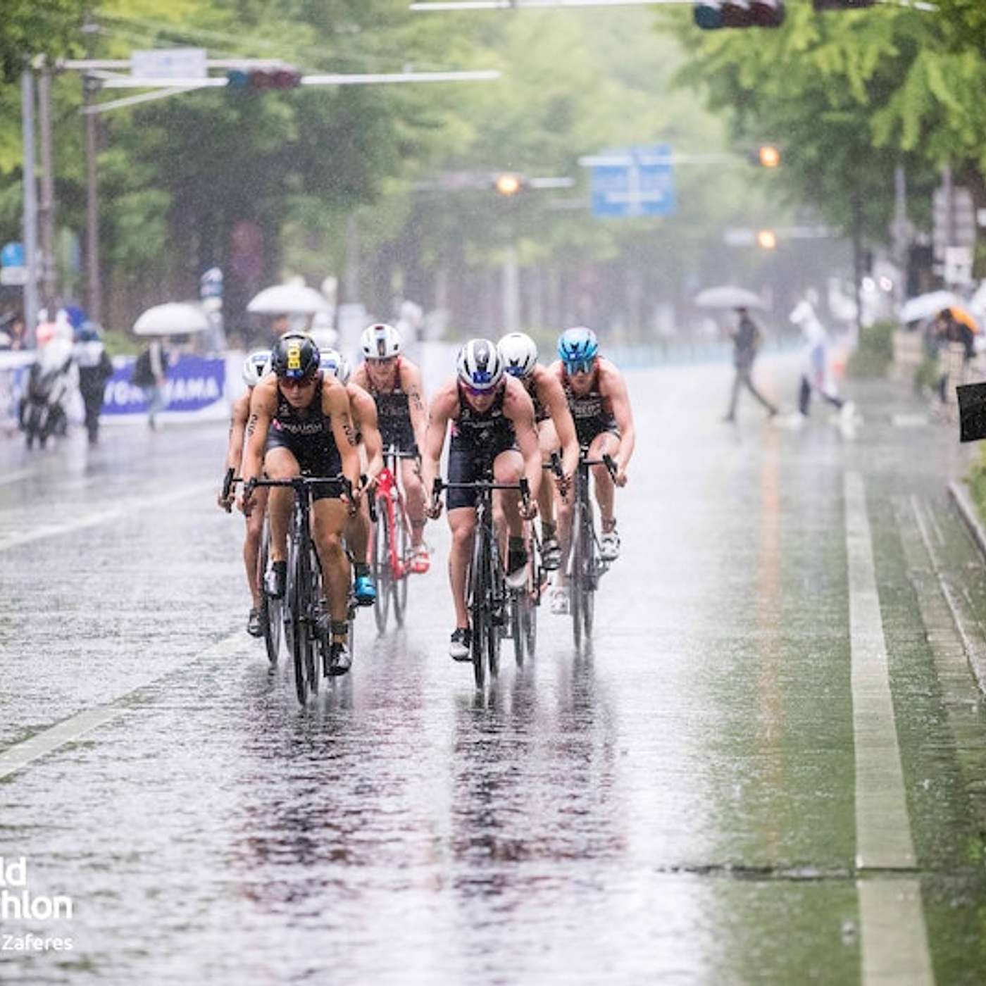 Pro Tri News