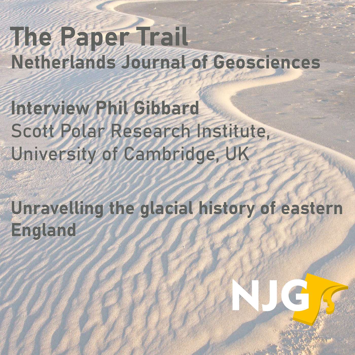 The Paper Trail