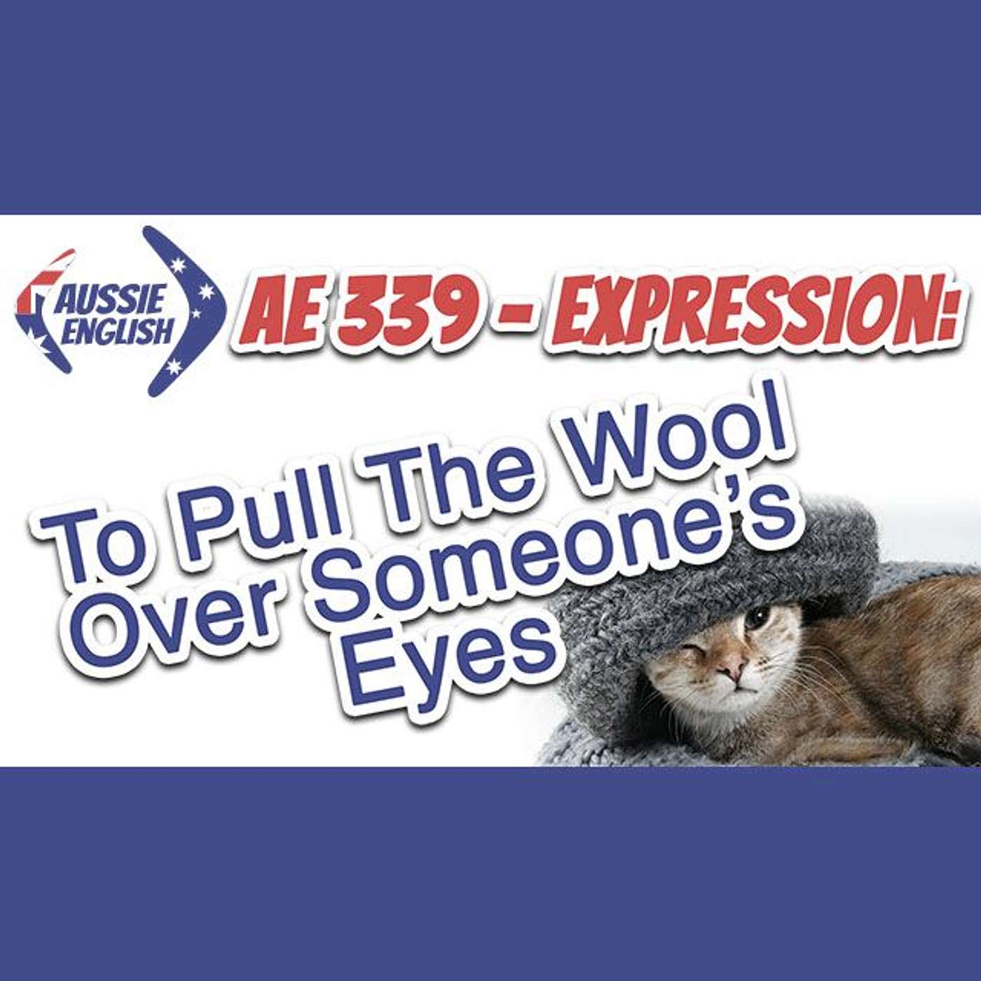 AE 339 - Expression: To Pull The Wool Over Someone's Eyes