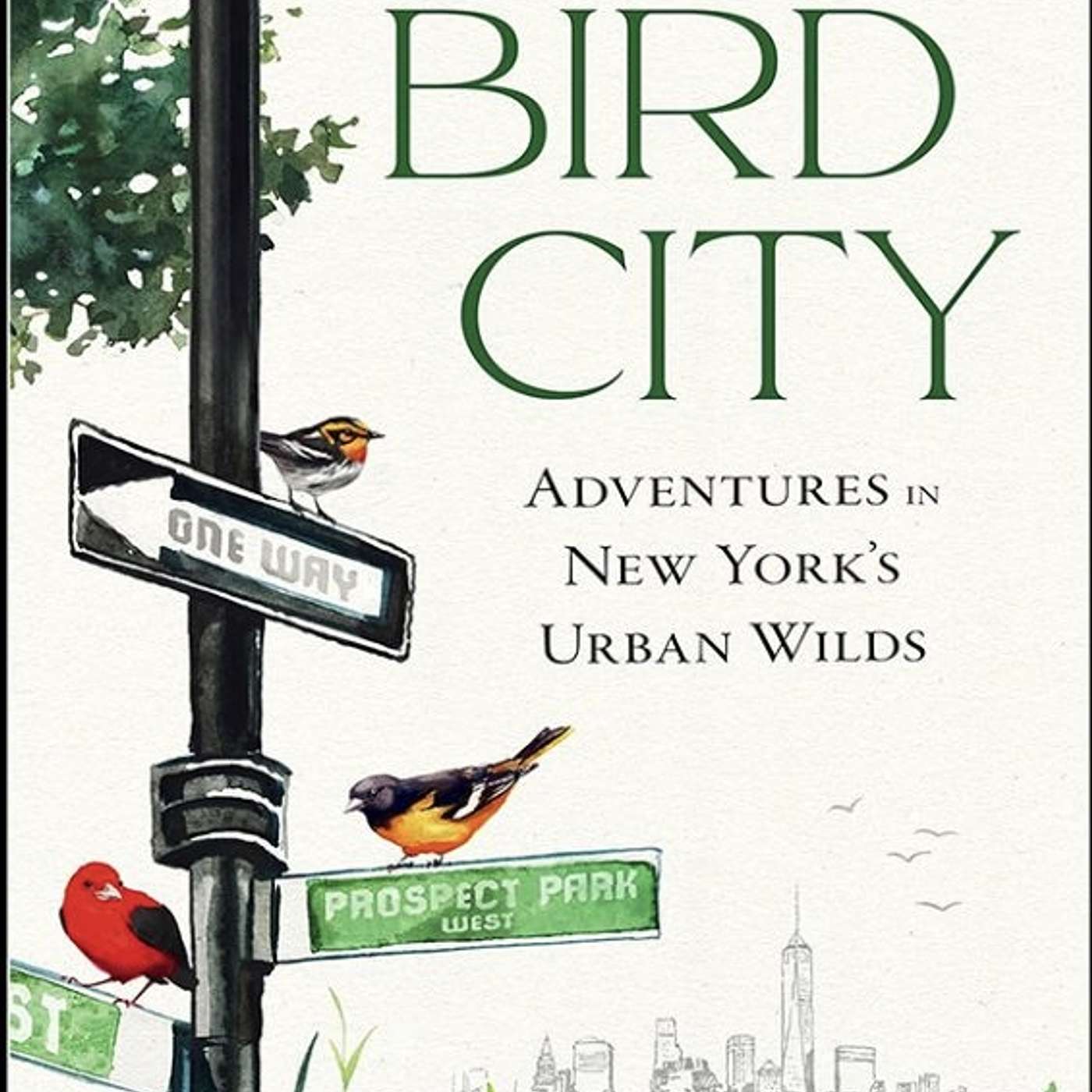 Ryan Goldberg - Bird City Ryan Goldberg - Bird City