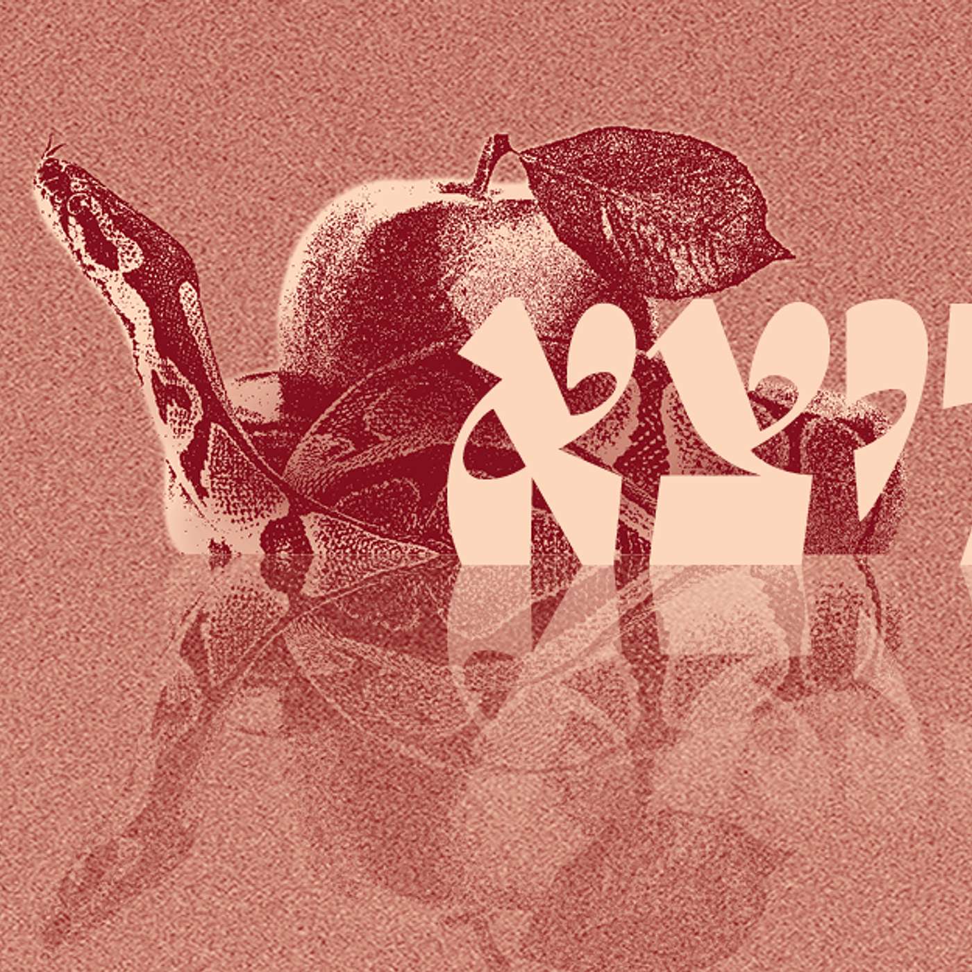 Parashat Vayetze - Romance, Love, and Marriage  | Rabbi Shai Finkelstein episode artwork