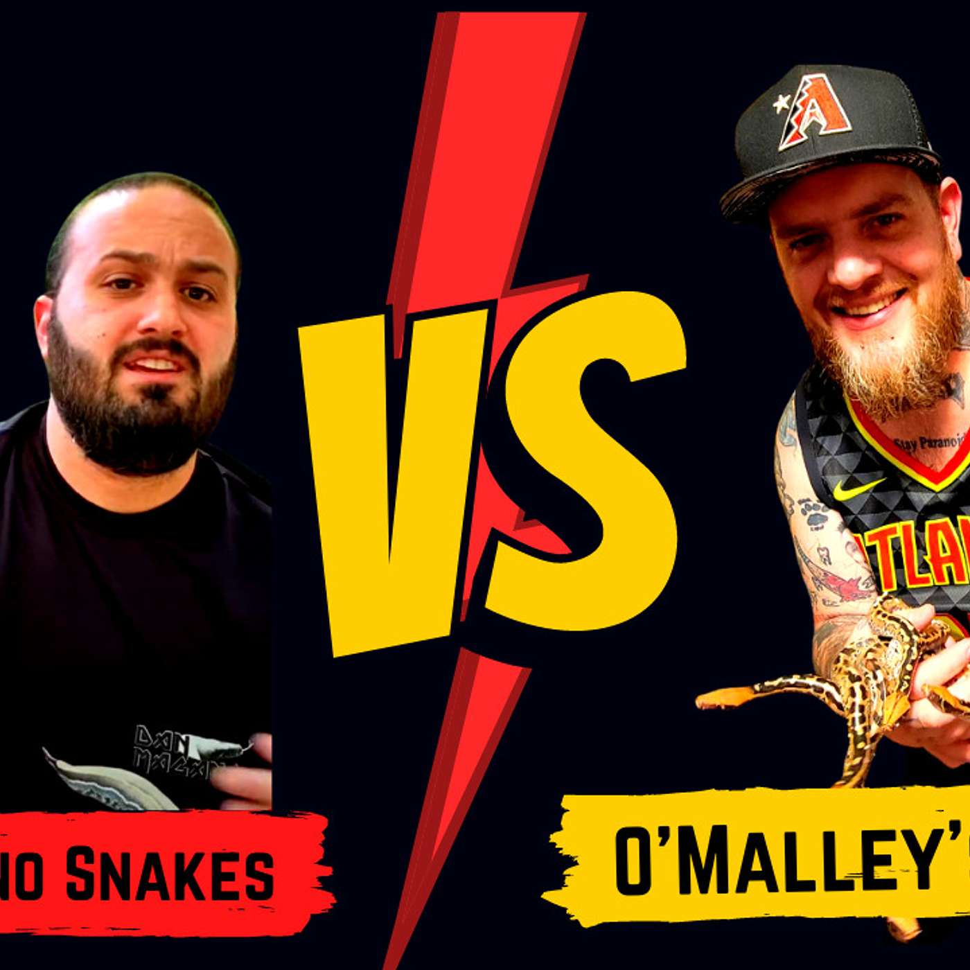Matt & Dan go toe to toe & dive deep on the Short Tailed Python market | The Trap