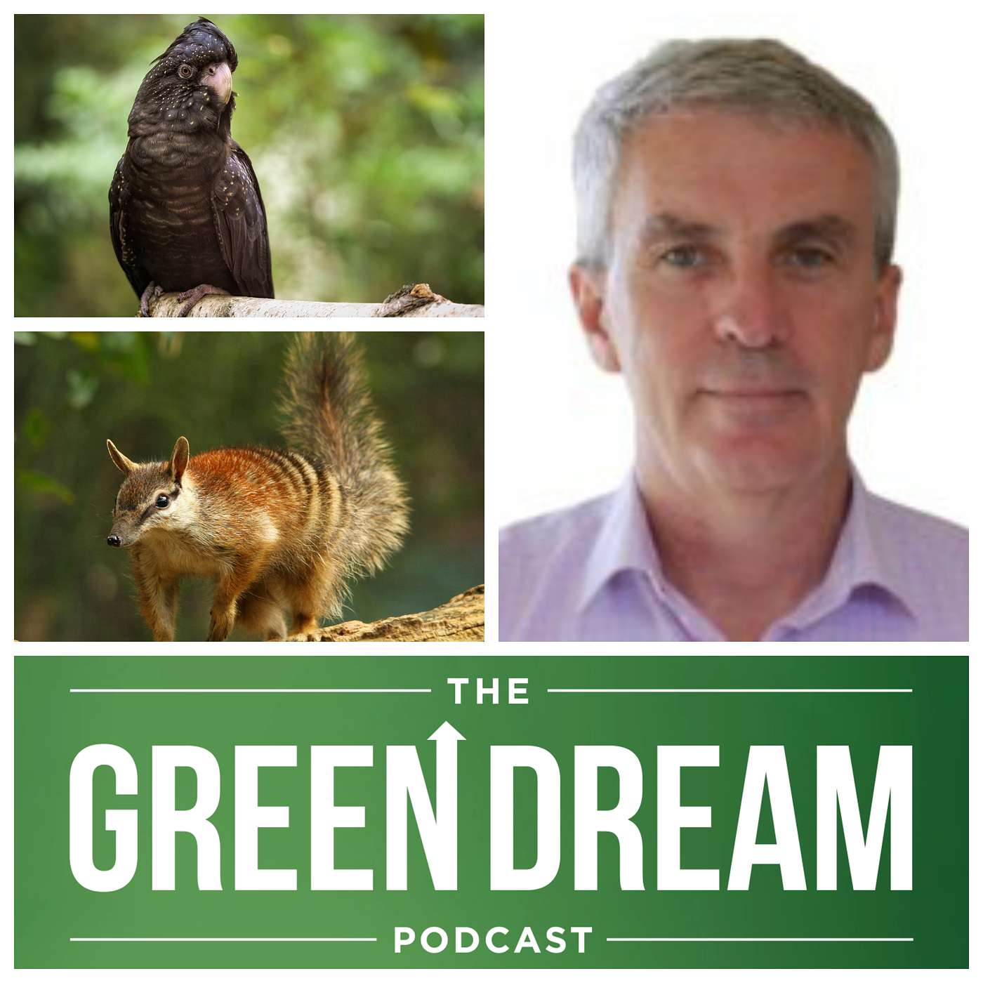 Western Annihilation – Alcoa & the Northern Jarrah Forest