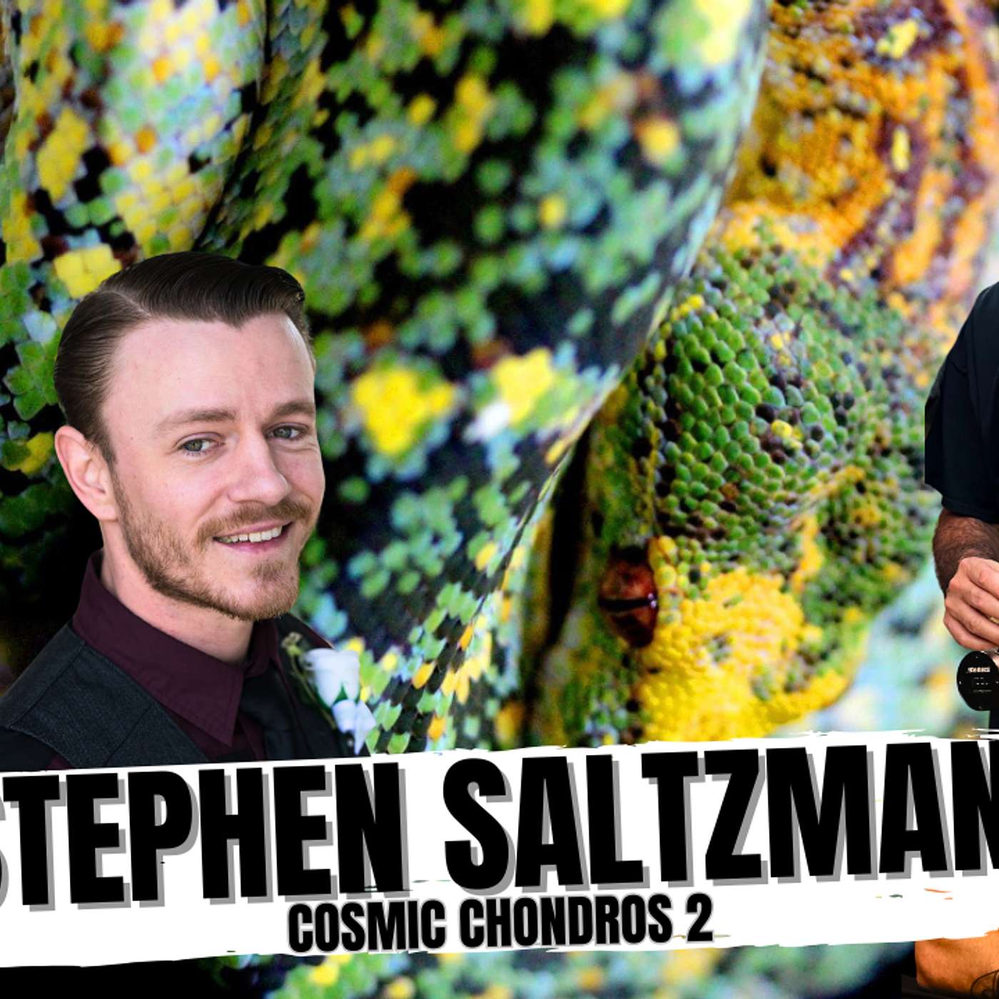 ESTABLISHING THE TOUGHEST BABY GREEN TREE PYTHONS | ALL IN THE TREE TUESDAY LIVE