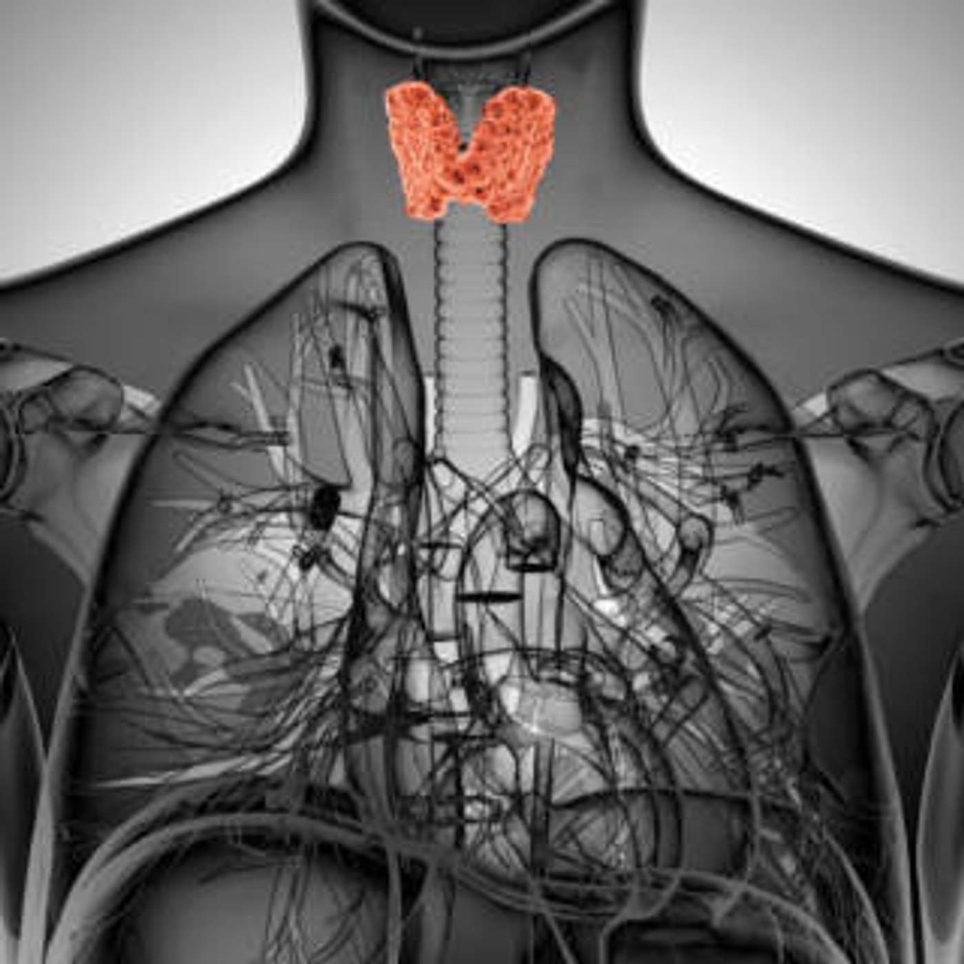 cover of episode Thyroid
