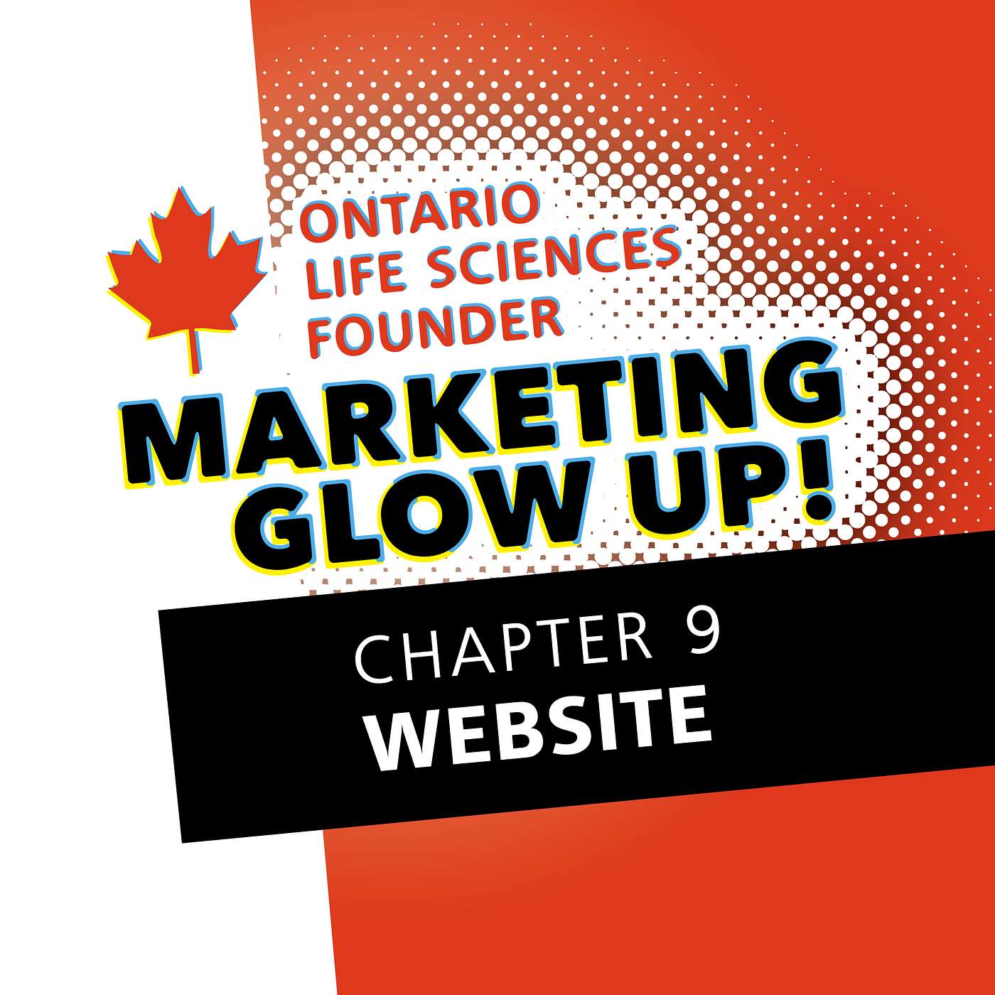 Chapter 9: Your Website is Your Wingman episode artwork