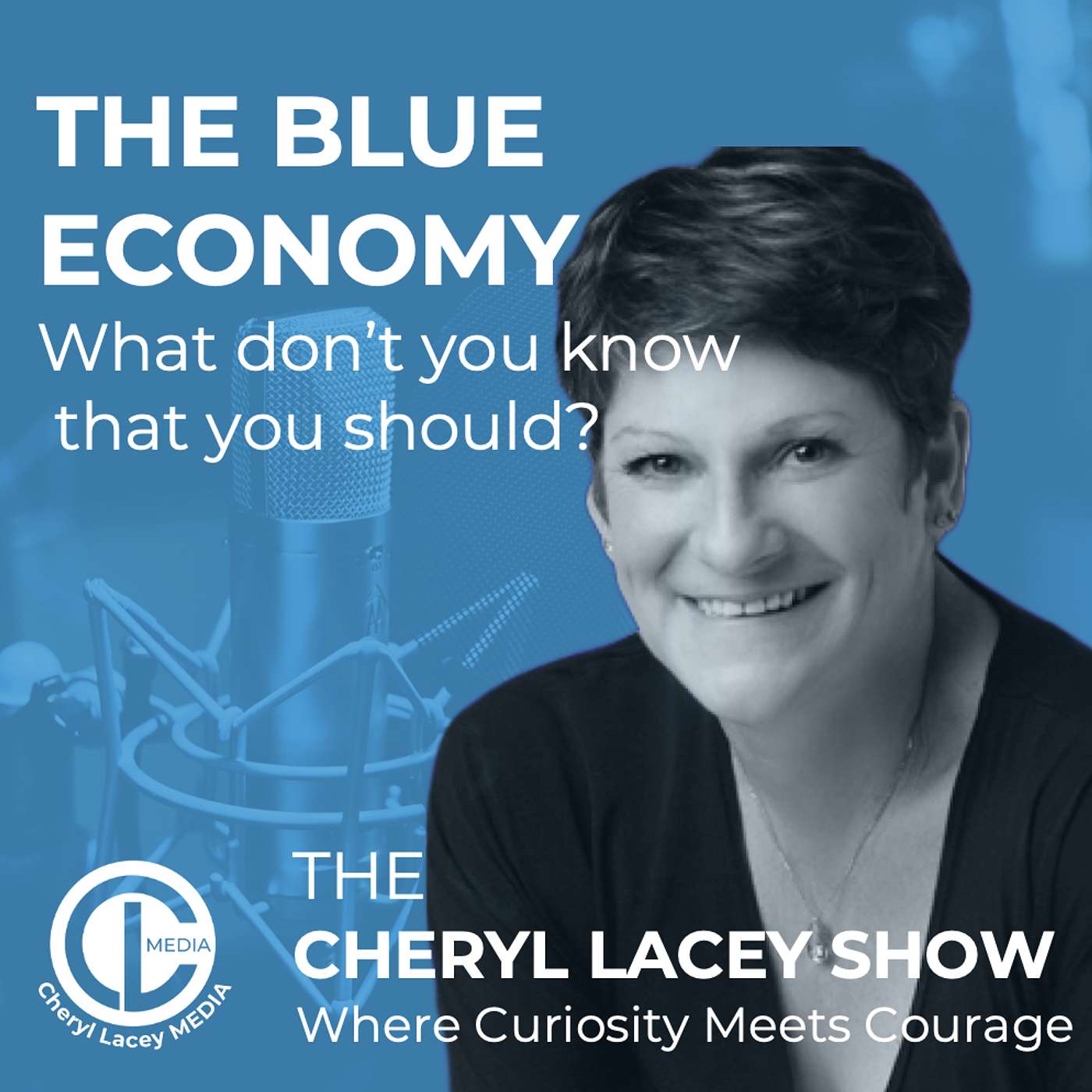 The Blue Economy: What don't you know and should? episode artwork