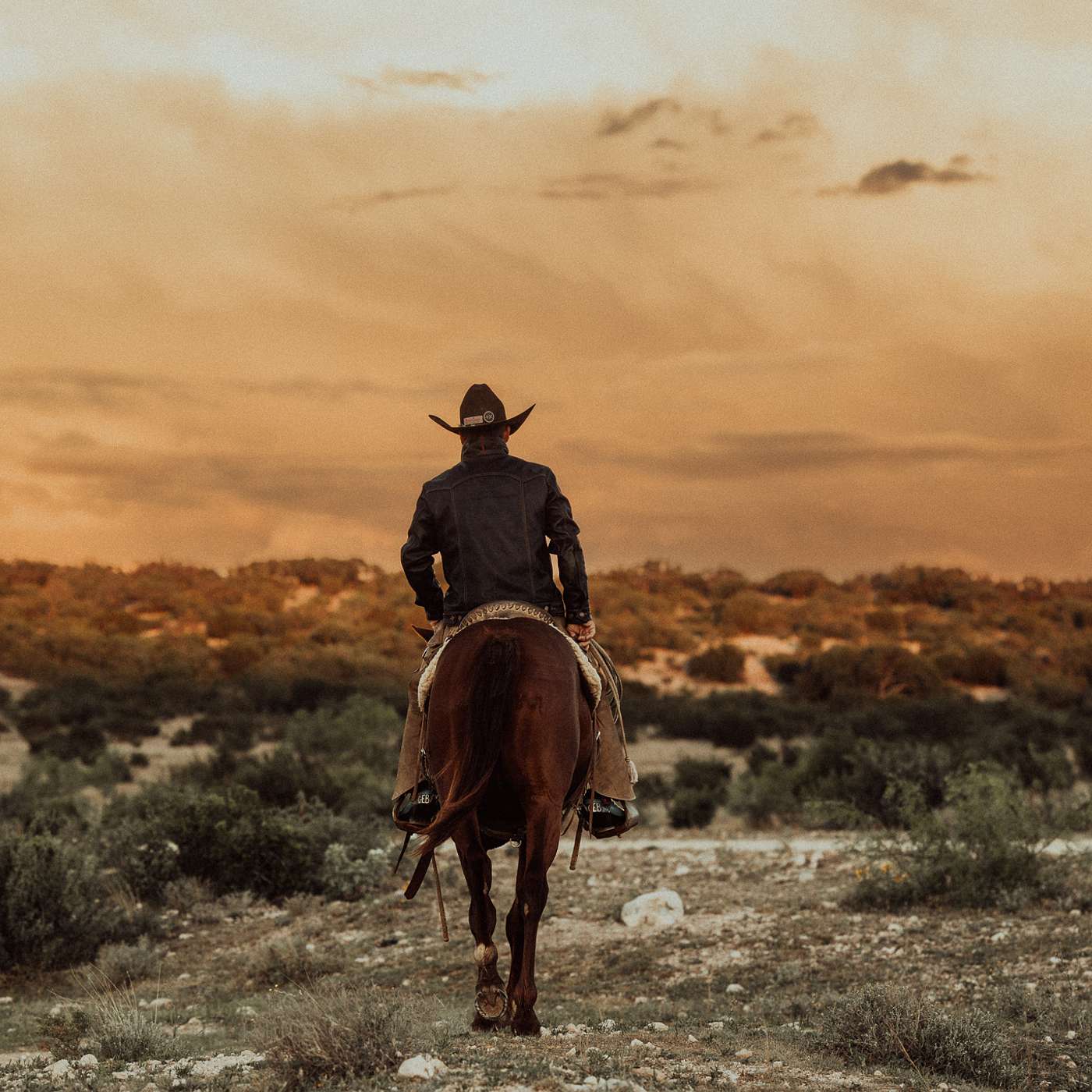 Sunset Spelled Backwards