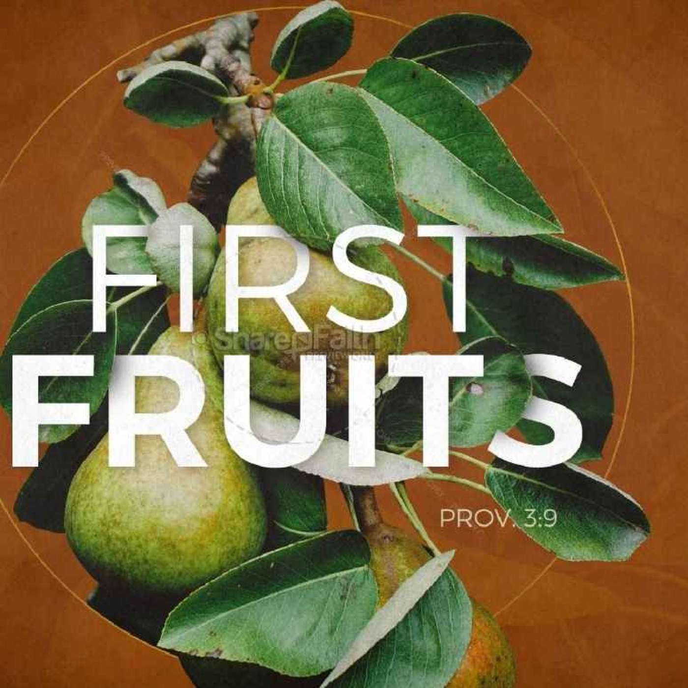 A Firstfruits Theory