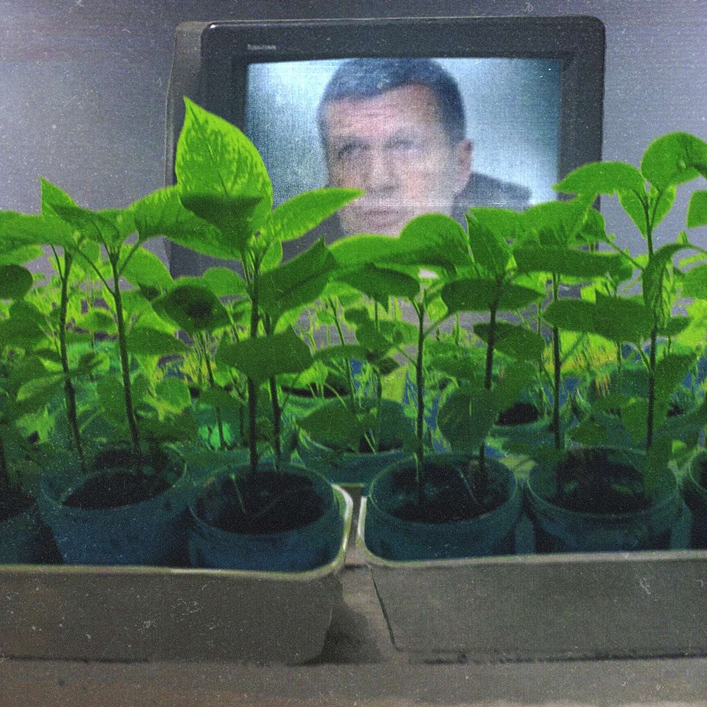 Россияне устали от пропаганды | Дачный ответ обогнал Соловьёва