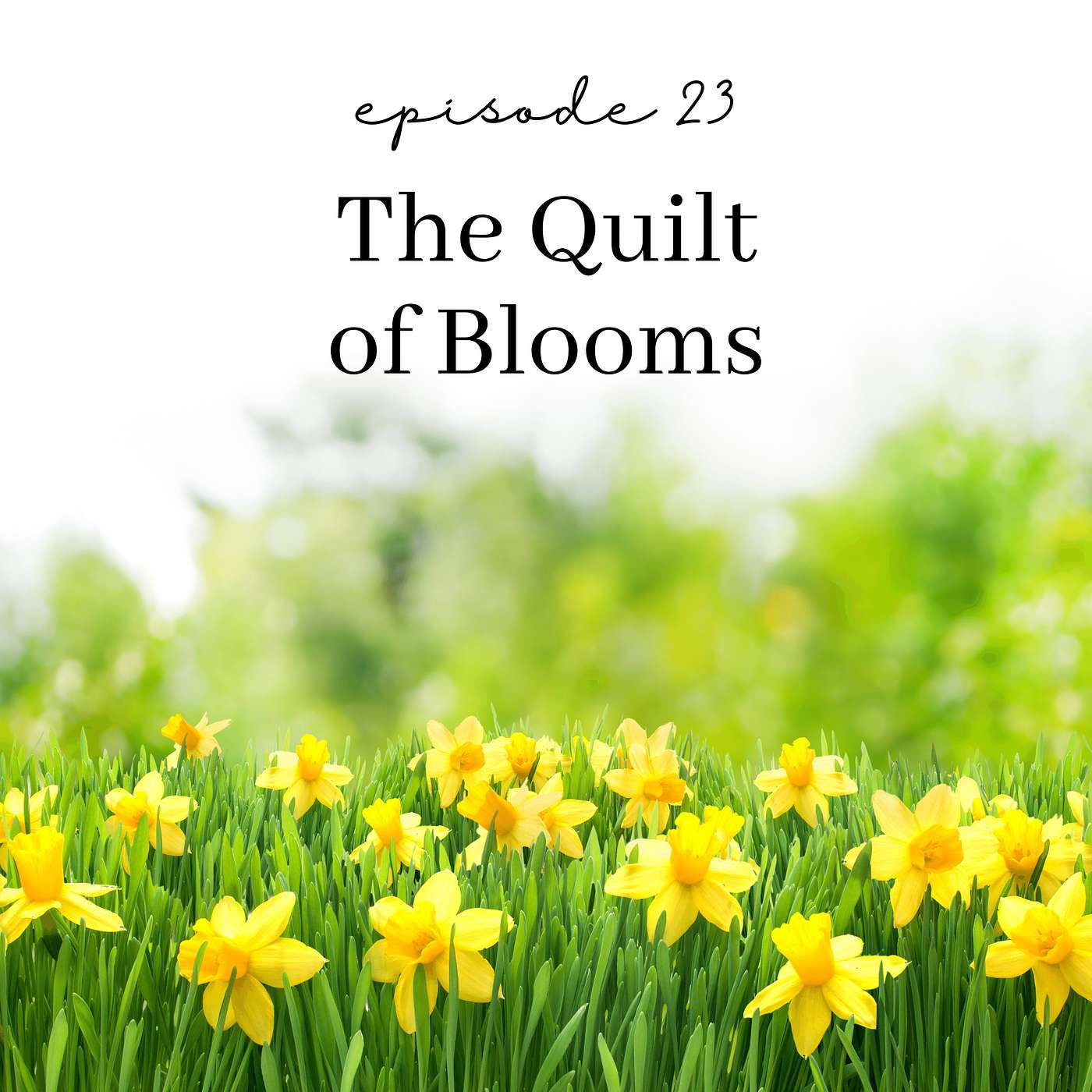 Episode 23: The Quilt of Blooms