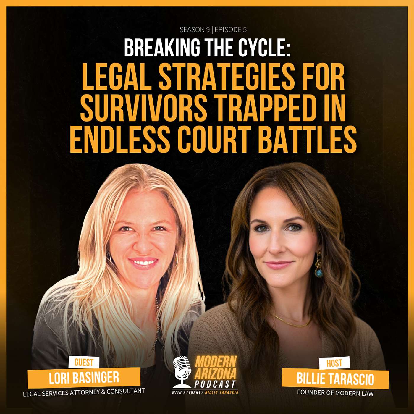 When Justice Hurts: Exposing Abusive Litigation in Family Law