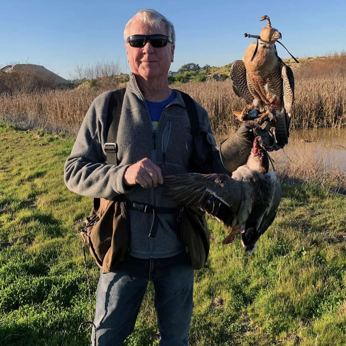 Episode 72: Bill Murphy, Peregrine Extradonaire