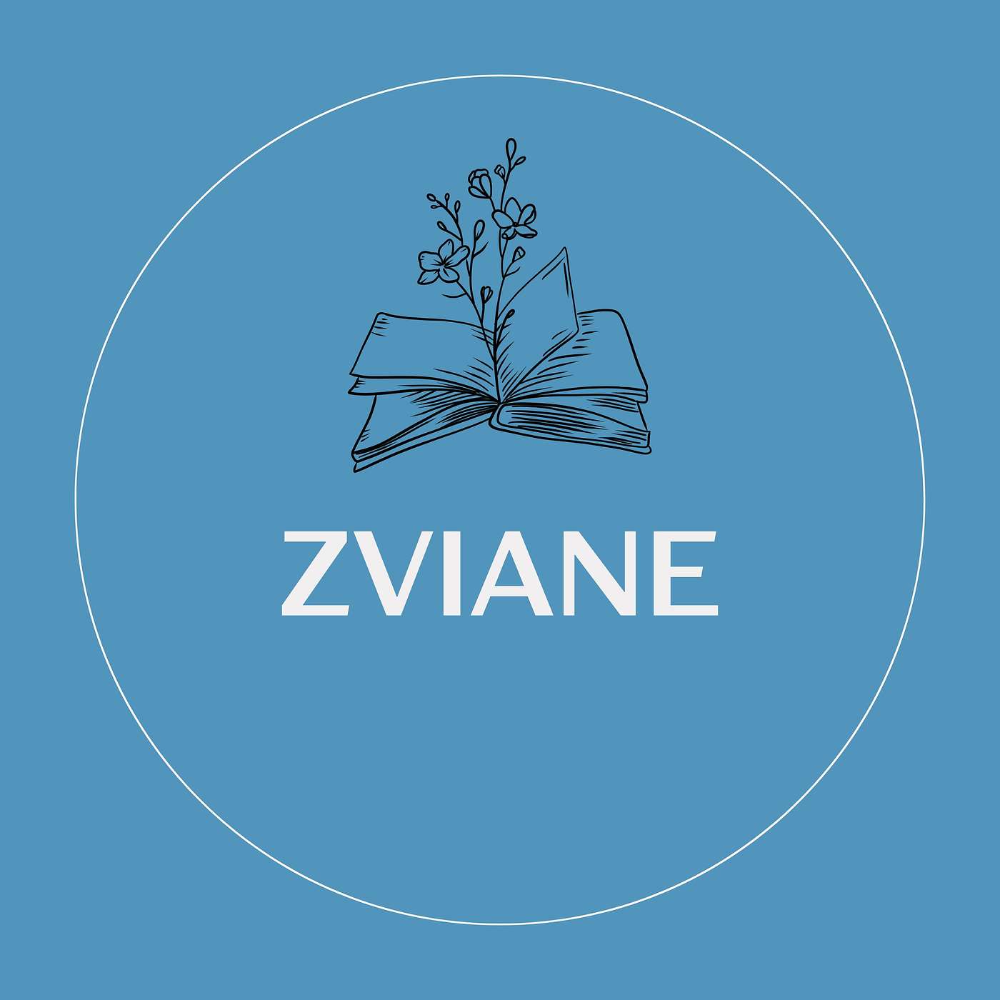 Samedi de lire avec Zviane - 2022 episode artwork