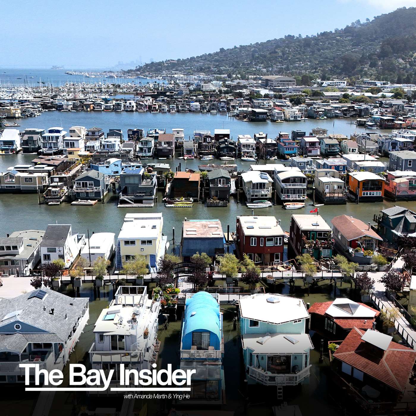 The Bay Insider
