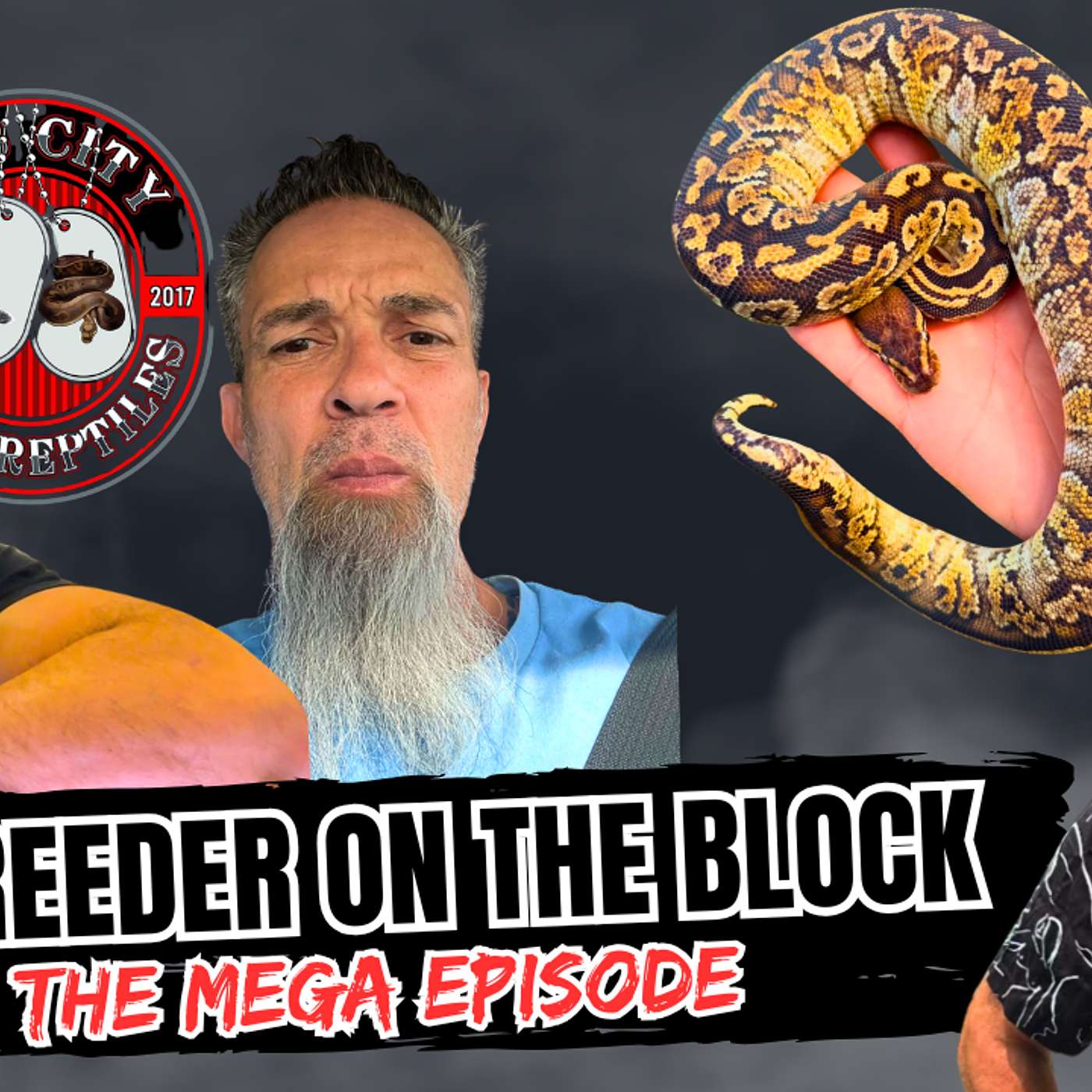 The Story Of The MEGA Ball Python Gene | New Breeder On The Block Ep.817 (Live) episode artwork