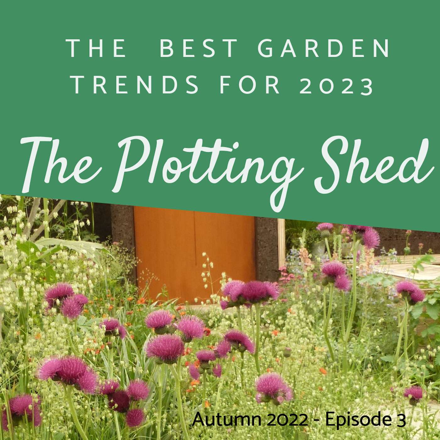 The best small garden design tips from 2022