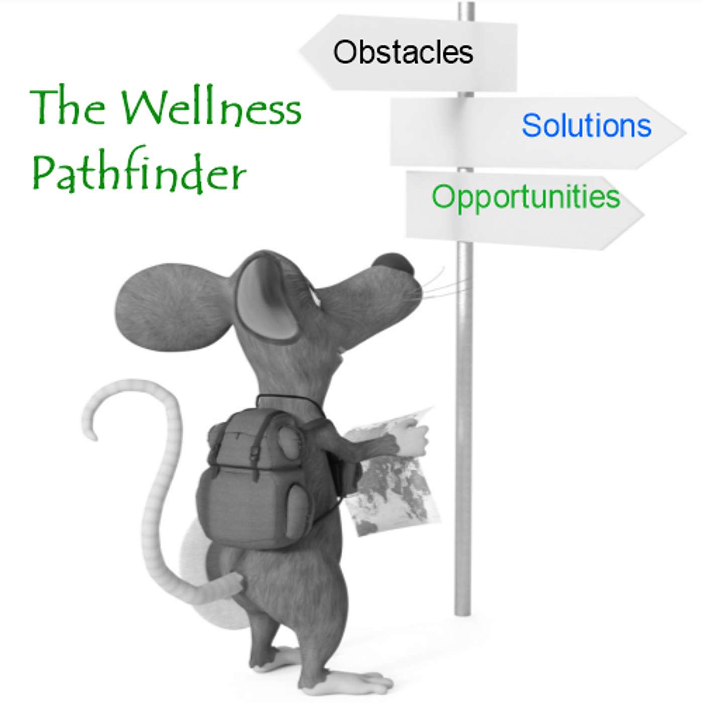 The Wellness Pathfinder
