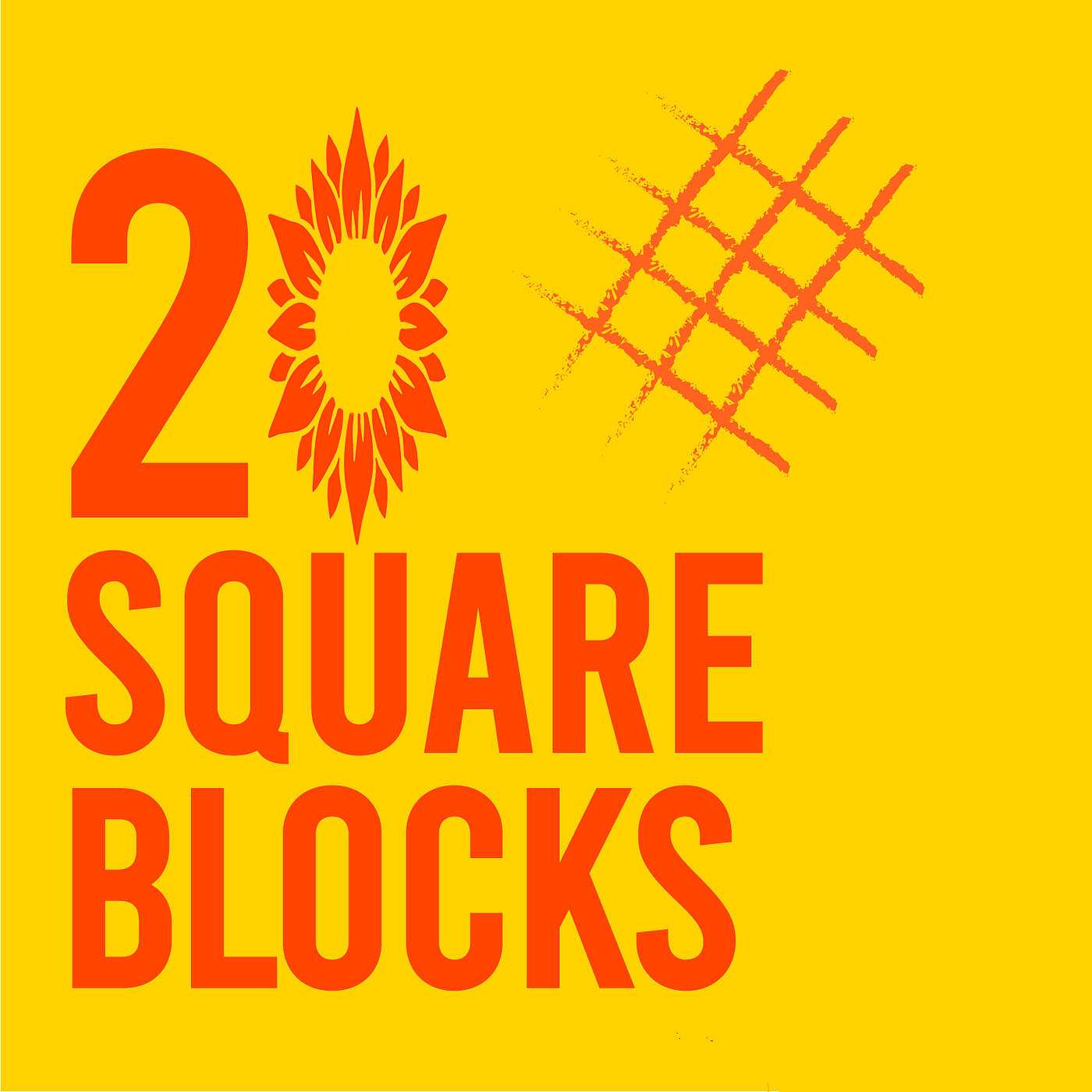 20 Square Blocks