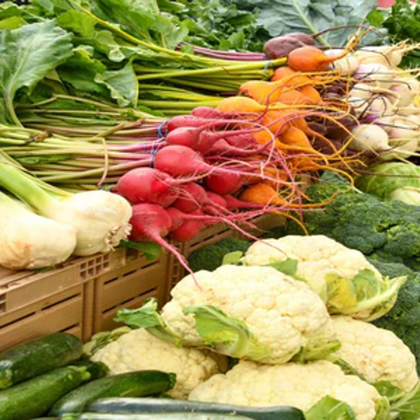 10 Best Easy-to-GrowVegetables in a Hot Summer (for Raised Garden Beds)