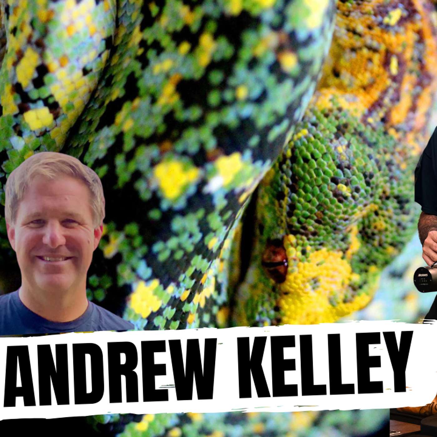 WHY SOME LOW KEY REPTILE KEEPERS ARE THE BEST KEEPERS | ALL IN THE TREE TUESDAY LIVE
