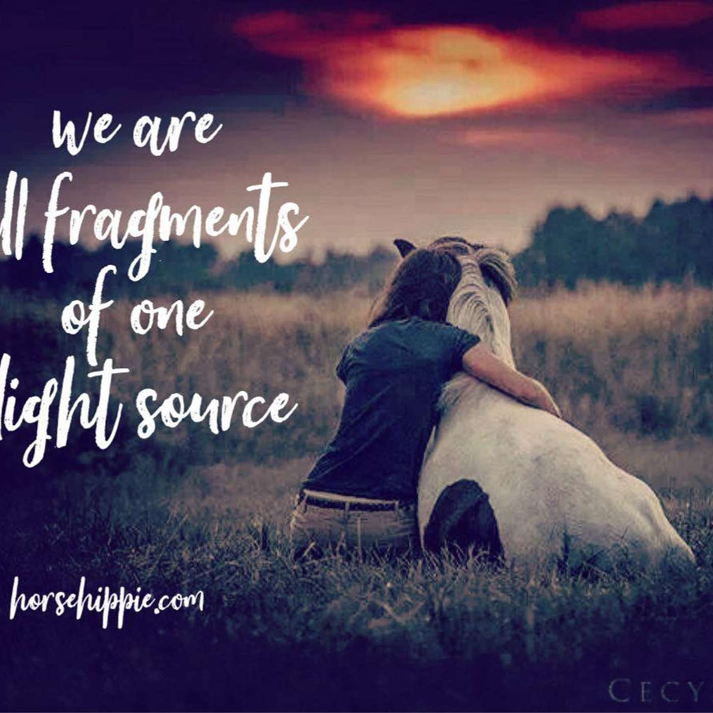 Your Connection to Others