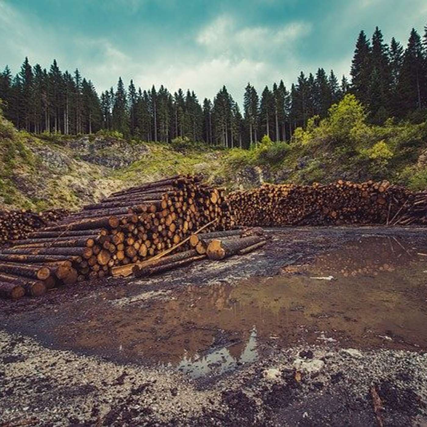 #009 Nature is Worthless
