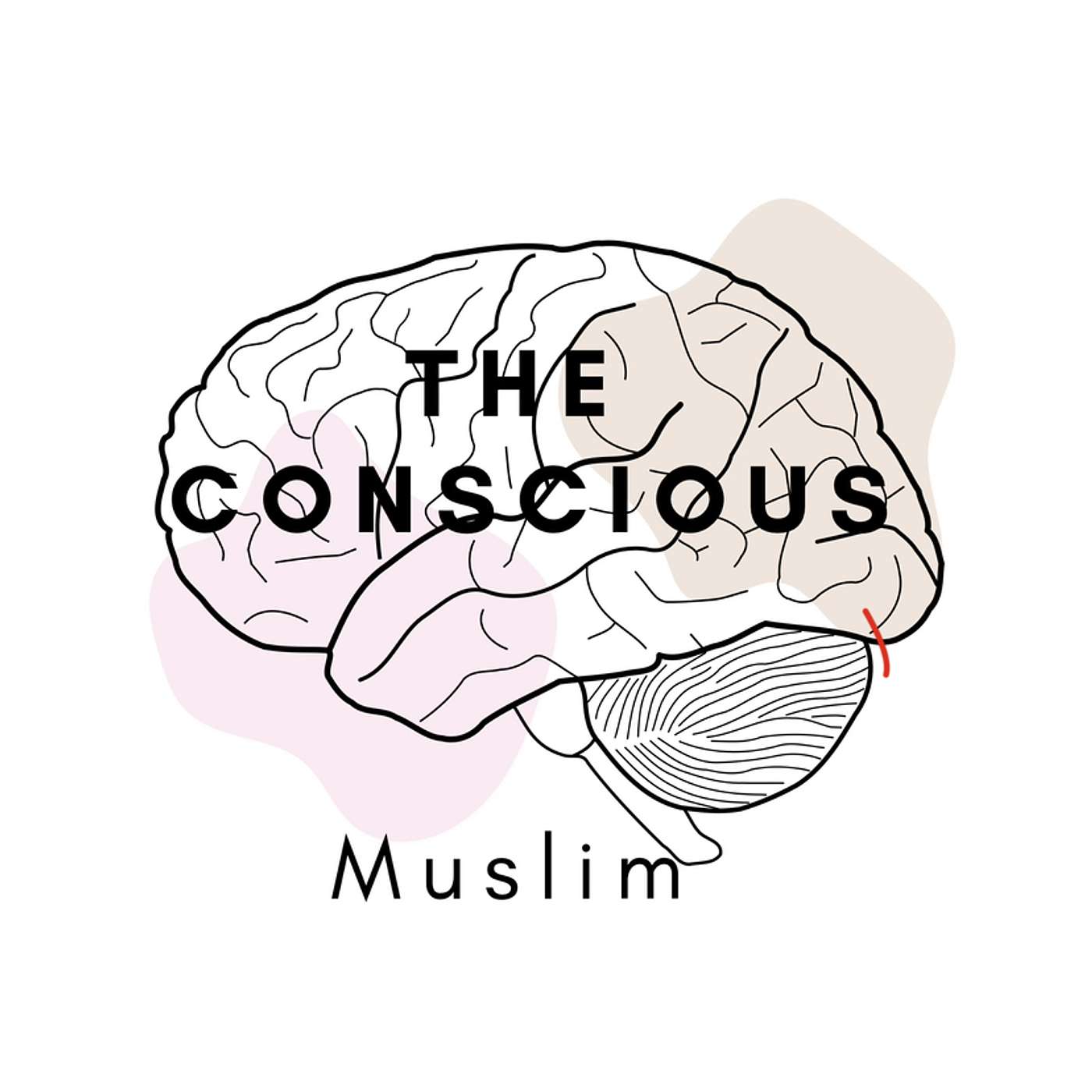 The Conscious Muslim podcast artwork