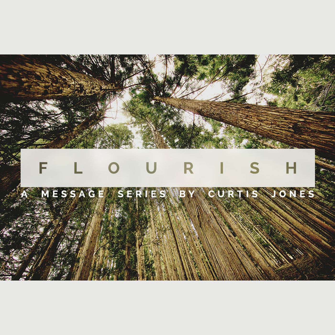 Flourish: The Church & Faith/Curtis Jones