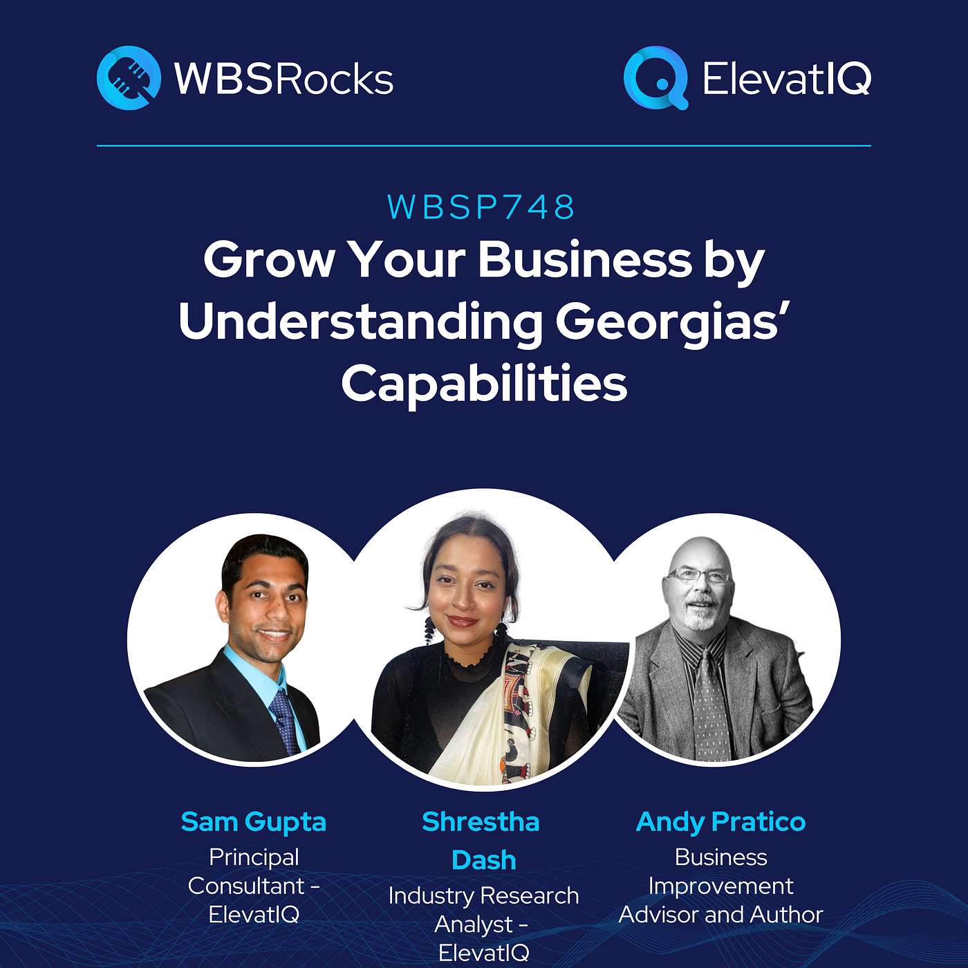WBSP748: Grow Your Business by Understanding Georgias' Capabilities, an Objective Panel Discussion