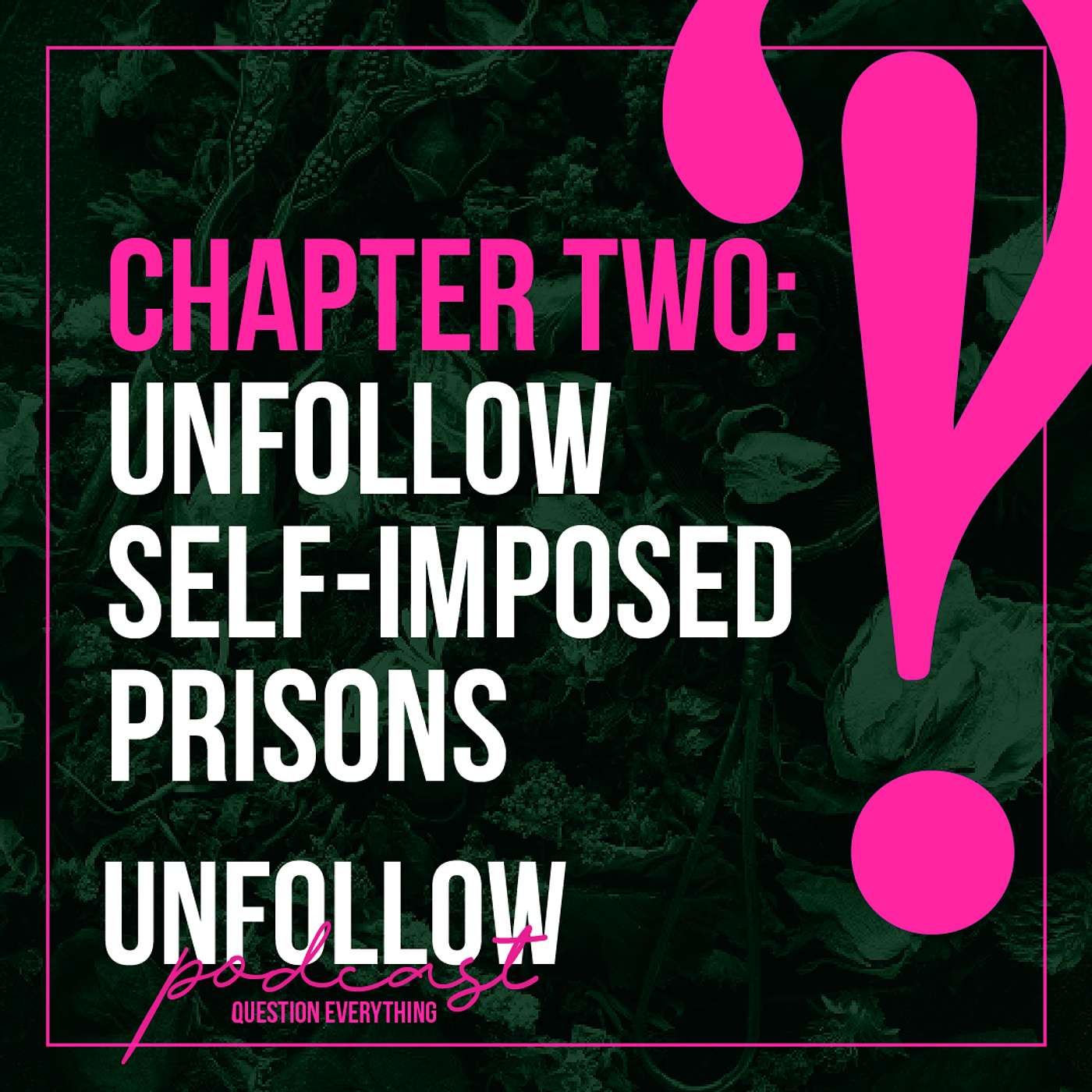 UnFollow: Question Everything with Melissa Wiggins