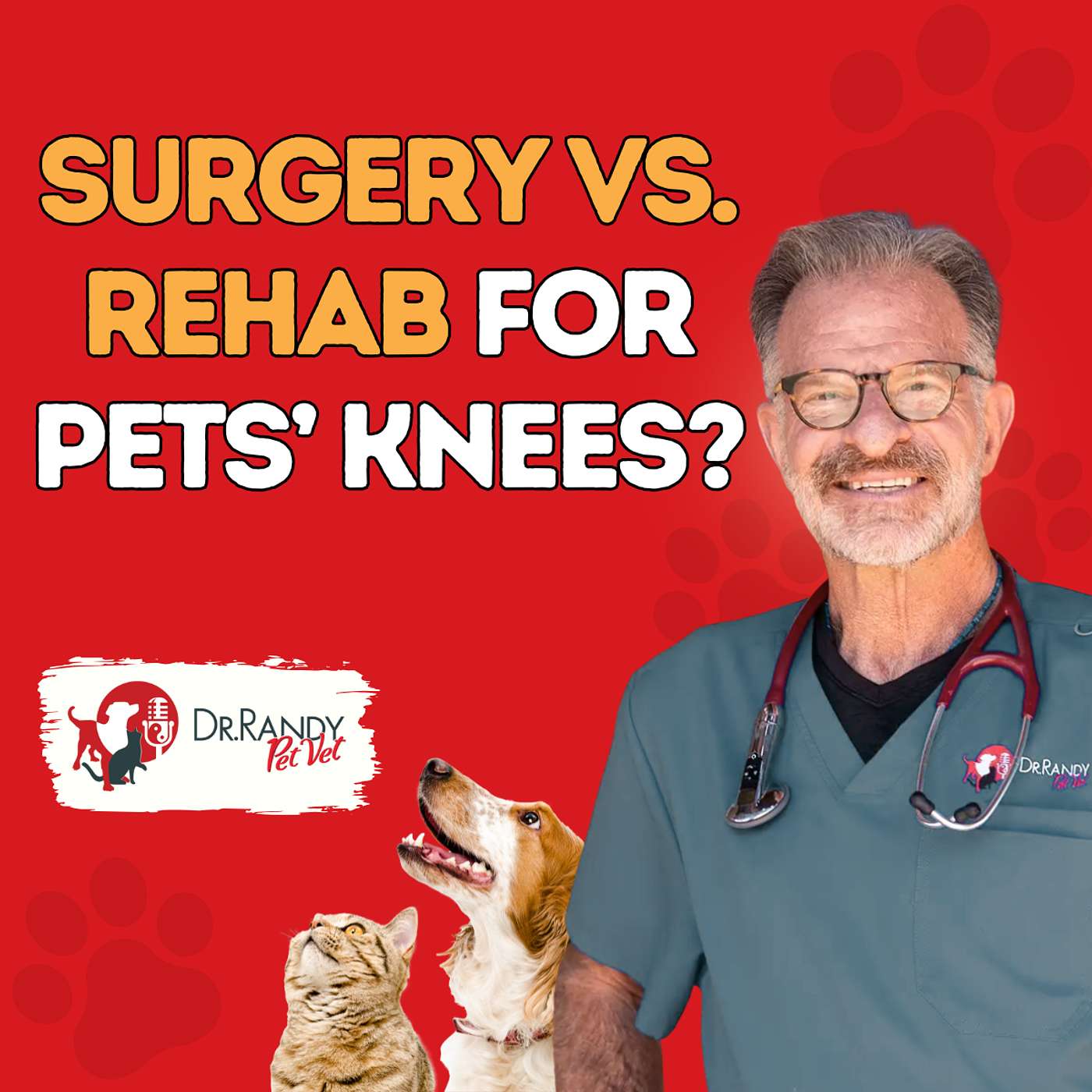 The "Underwater" Secret to Fixing Dog Knee Injuries